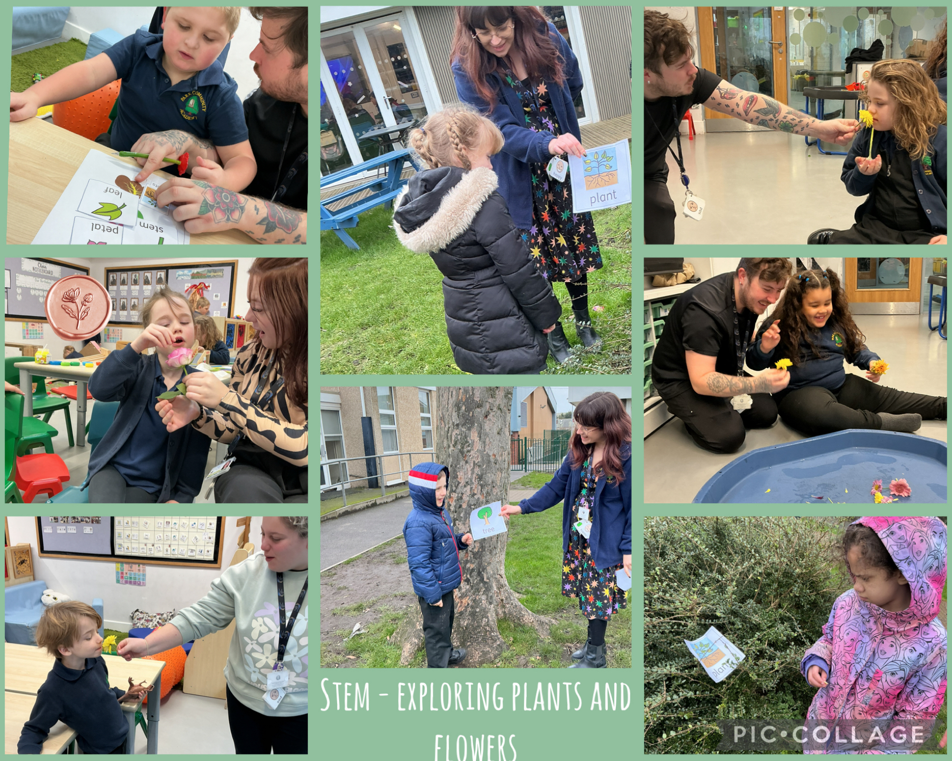 Image of Exploring flowers and plants 