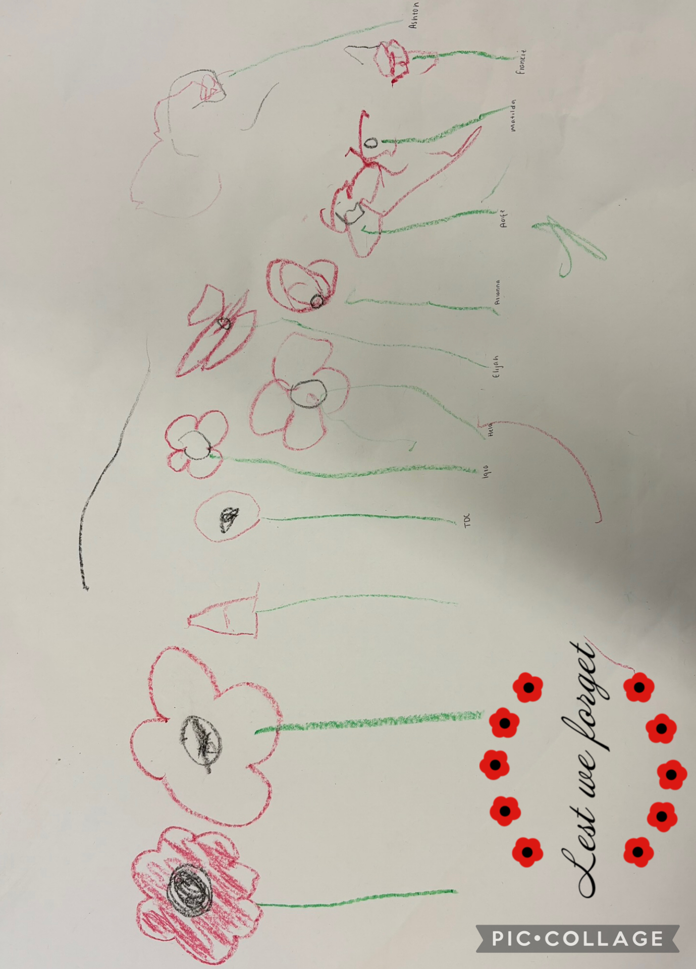 Image of Remembrance Day 