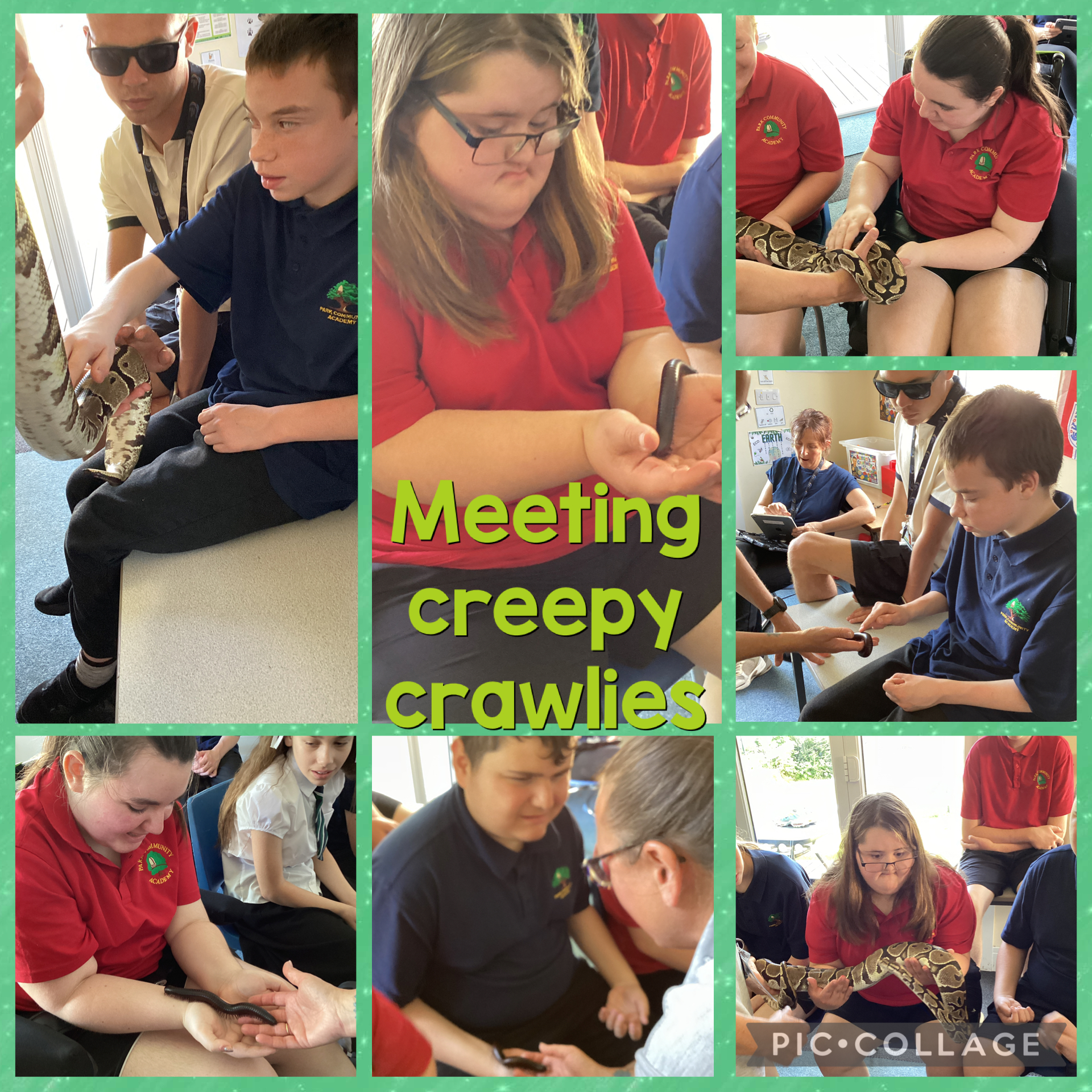 Image of Year 10 exploring creepy crawlies