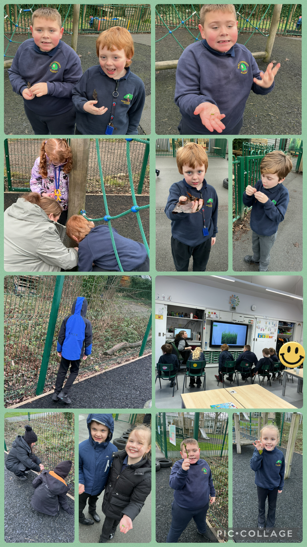 Image of What plants can we find outside?