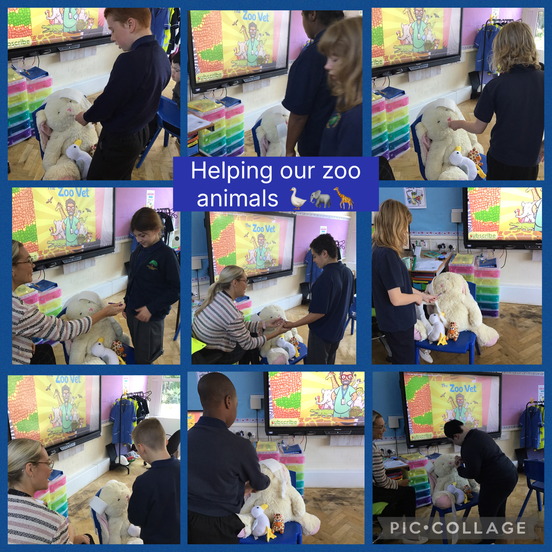 Image of Looking after the zoo animals 