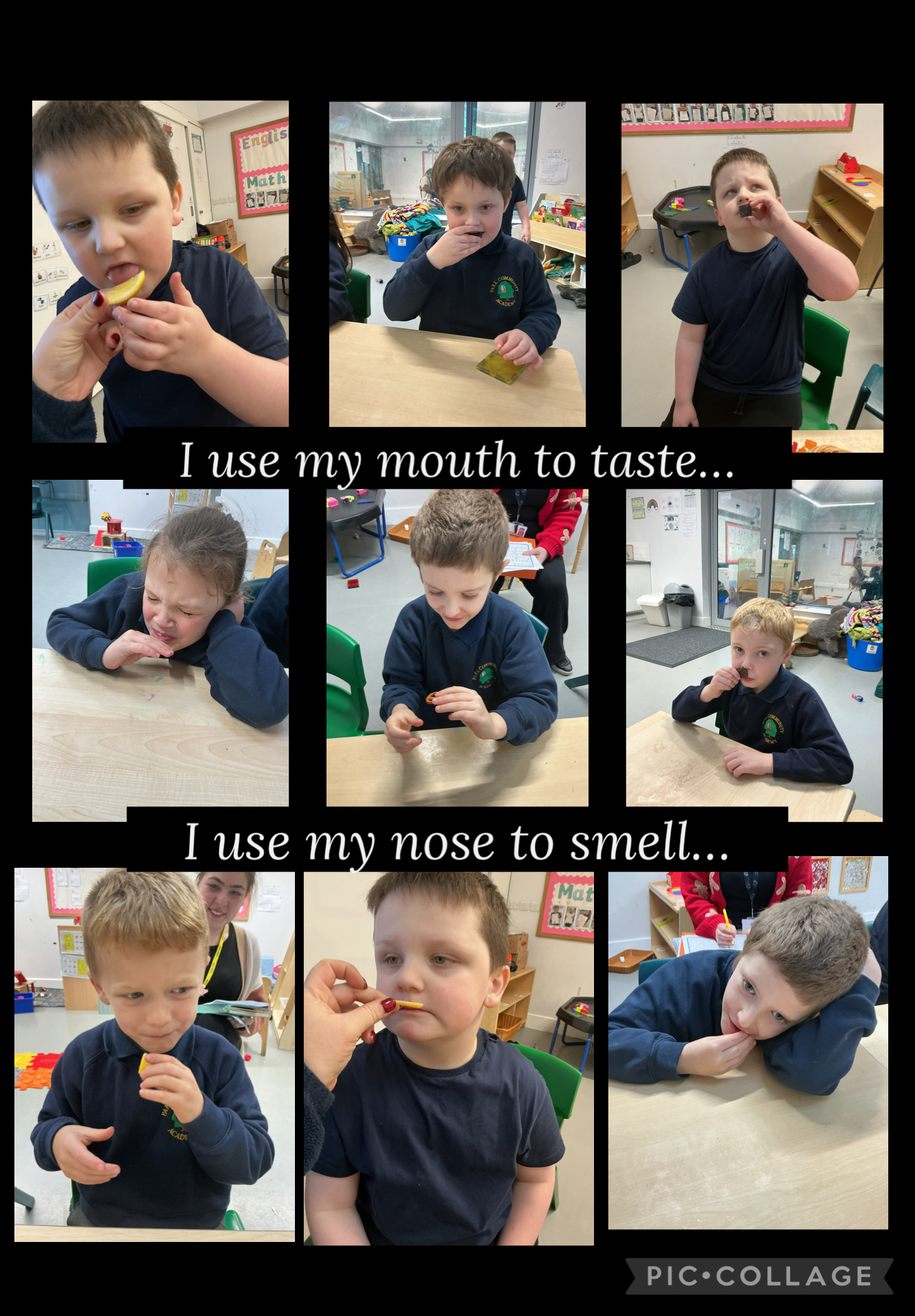 Image of Sense of taste and smell