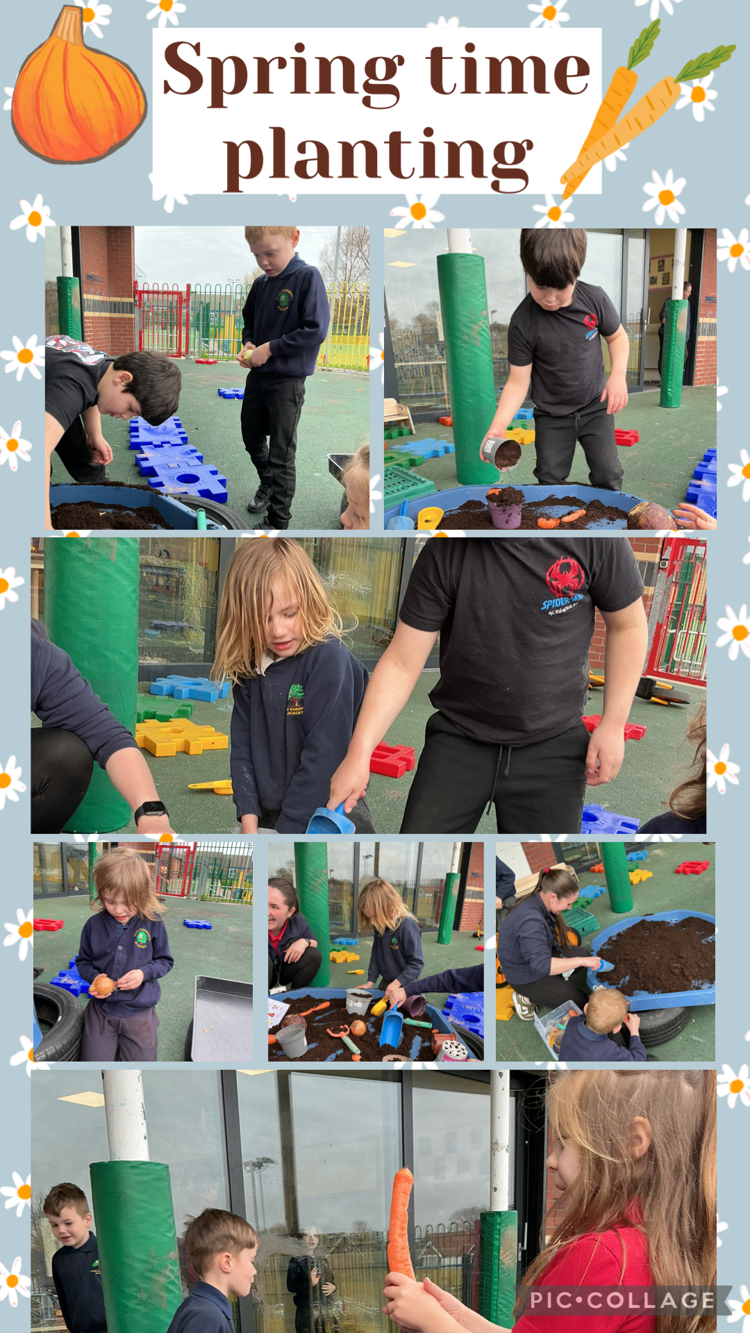 Image of Planting vegetables 