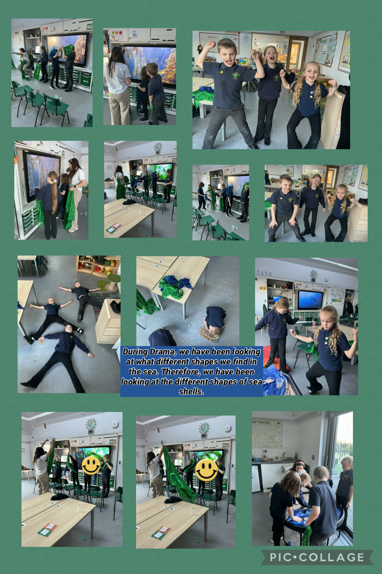 Image of What shapes can we find in the sea?