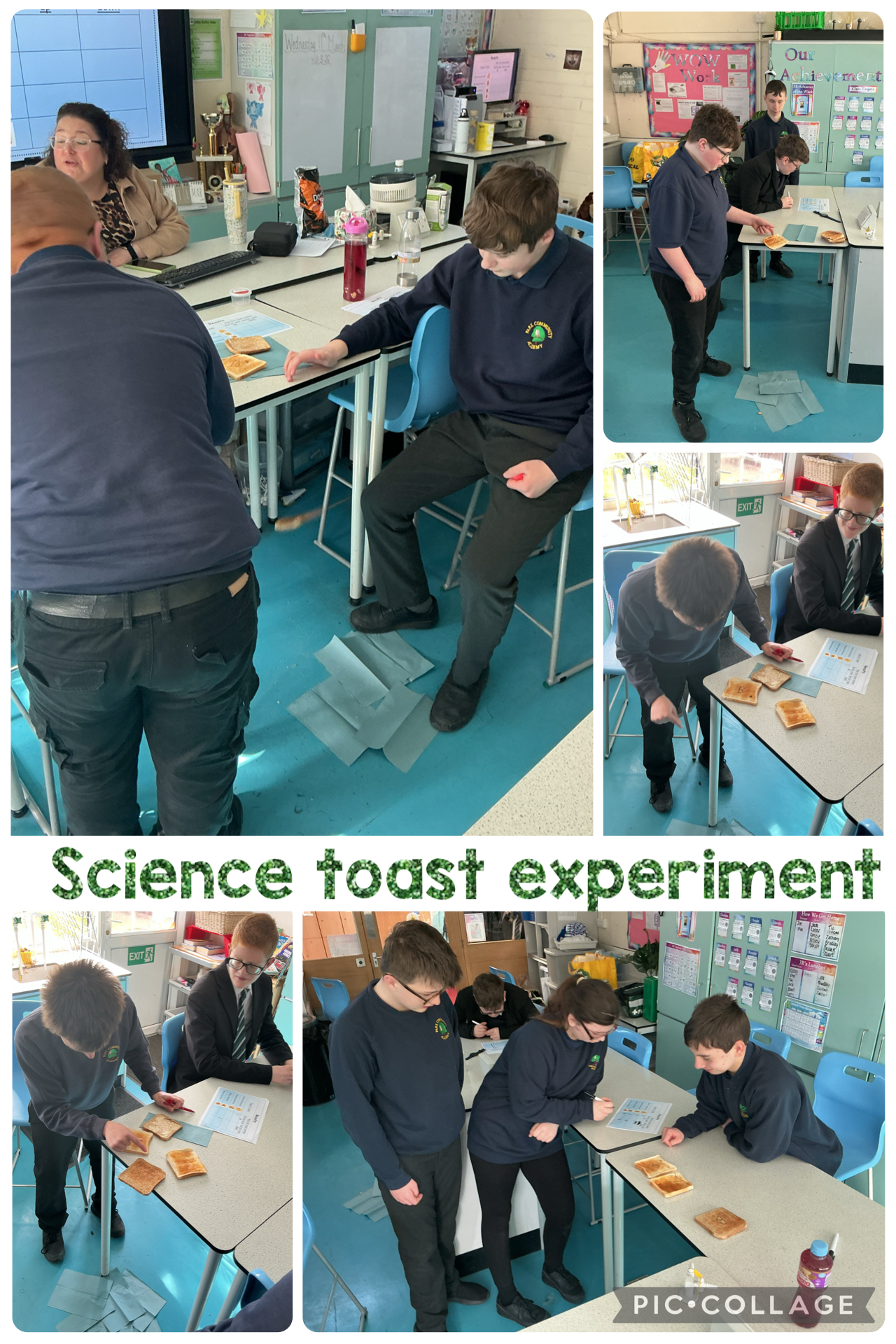 Image of The Toast Experiment 