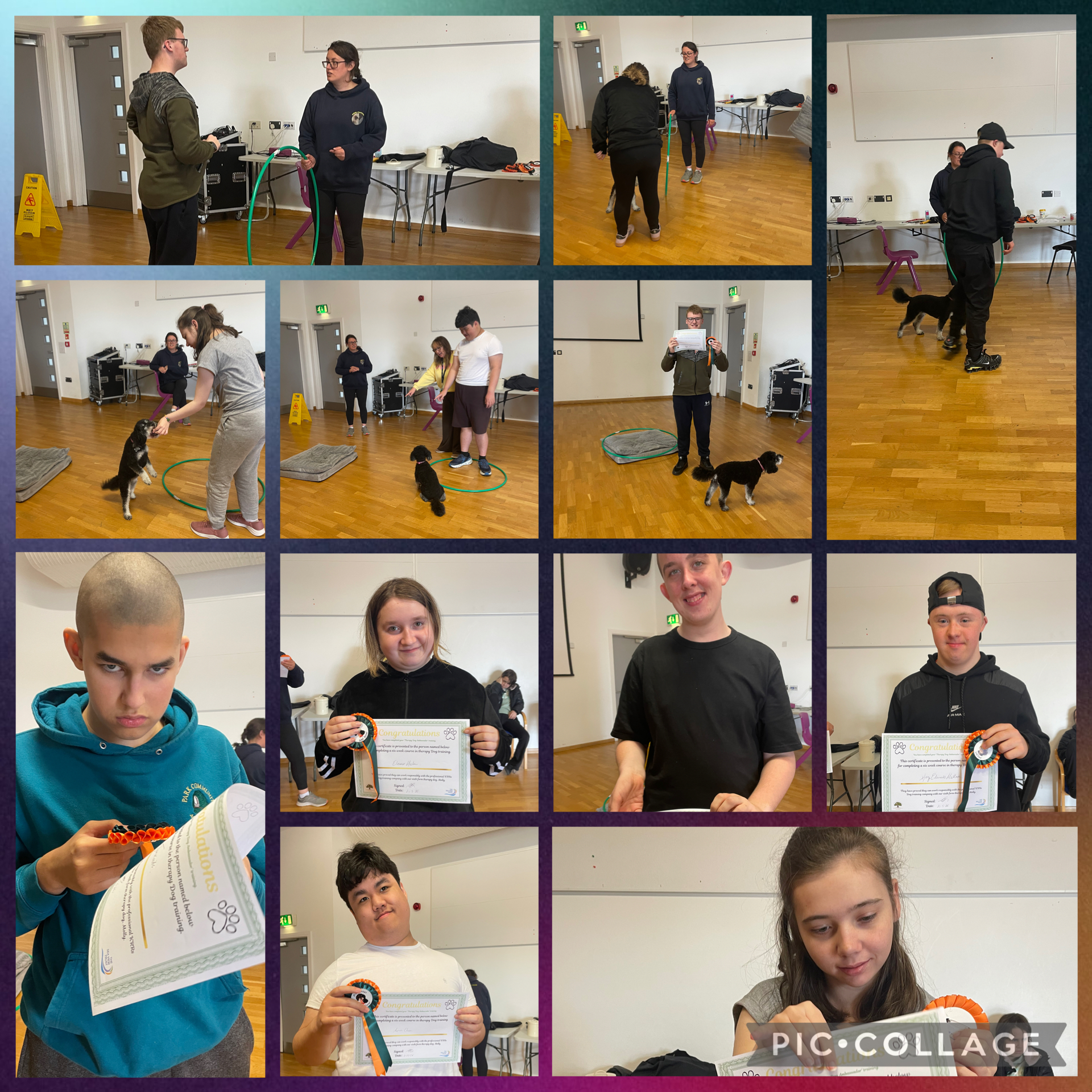 Image of Dog training