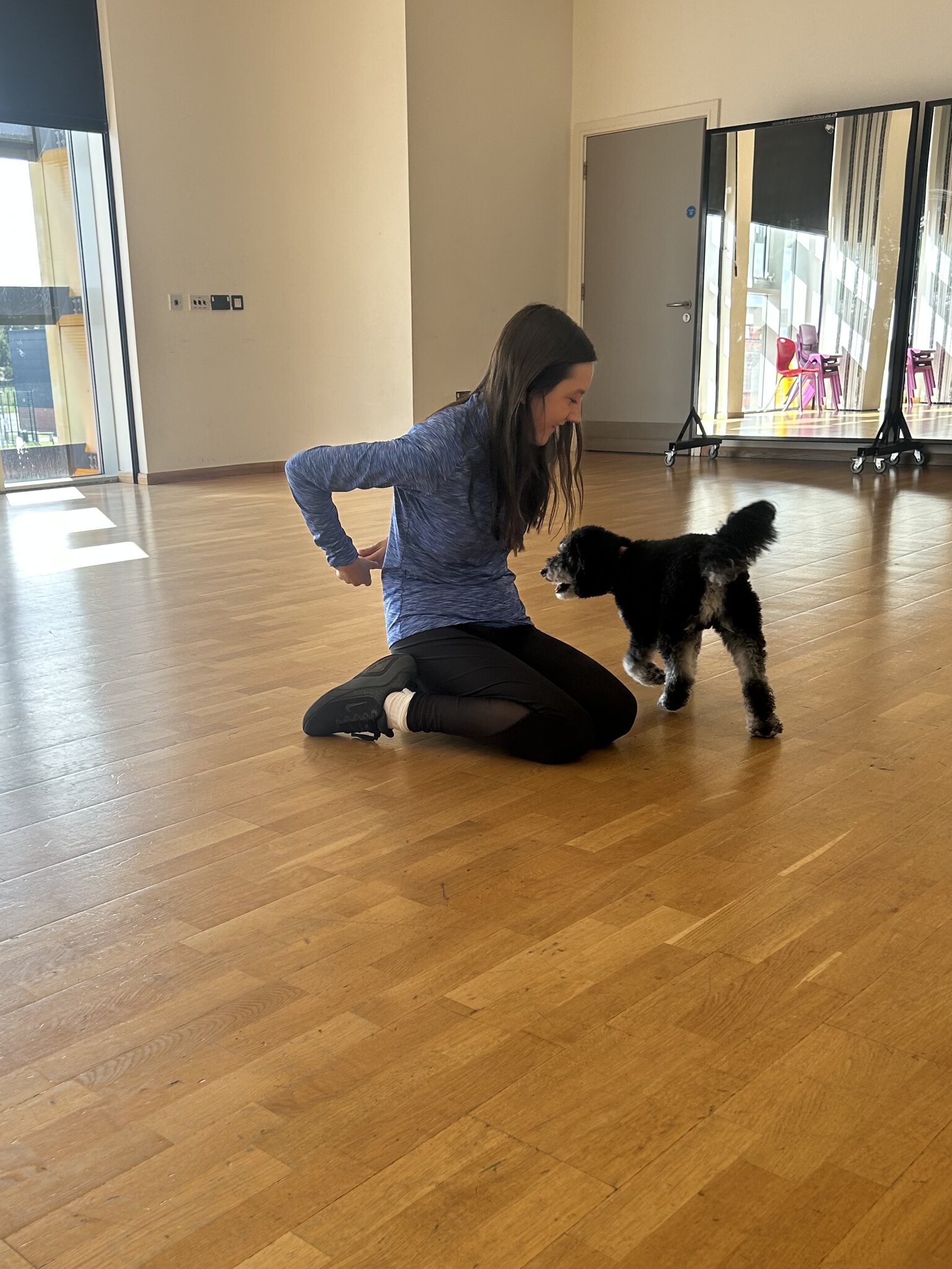 Image of Dog therapy training
