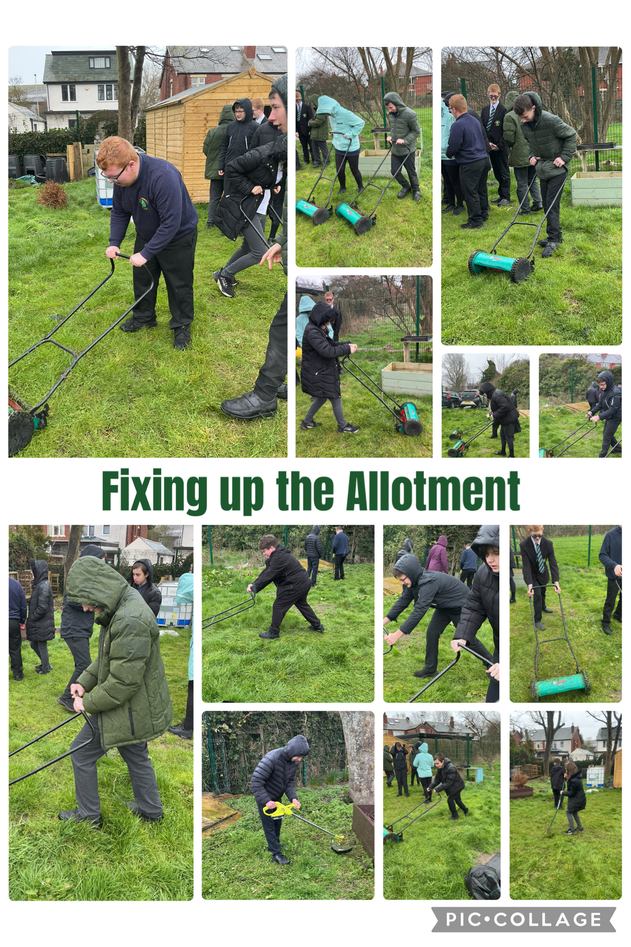 Image of In the Allotment