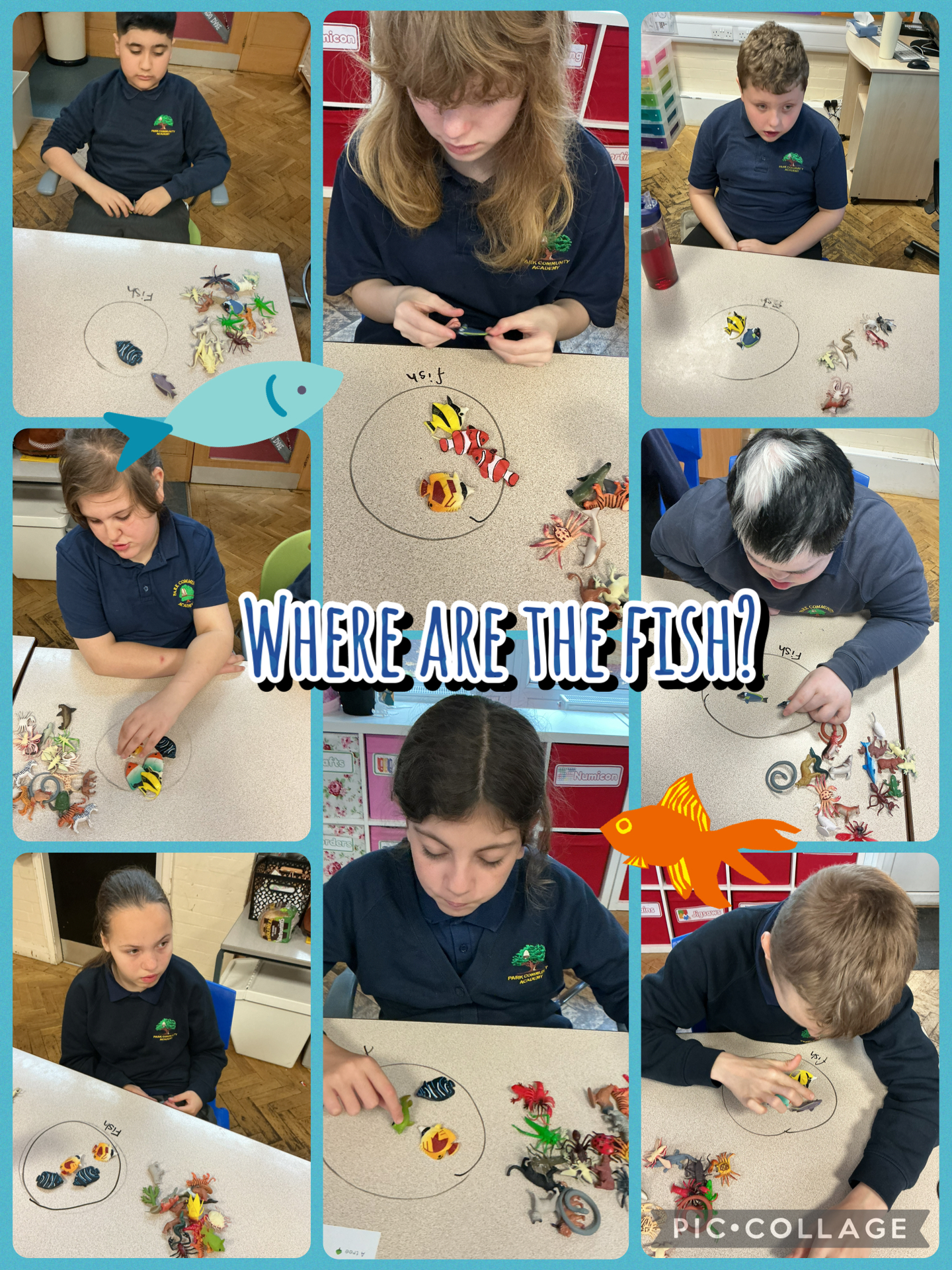 Image of Find the fish!
