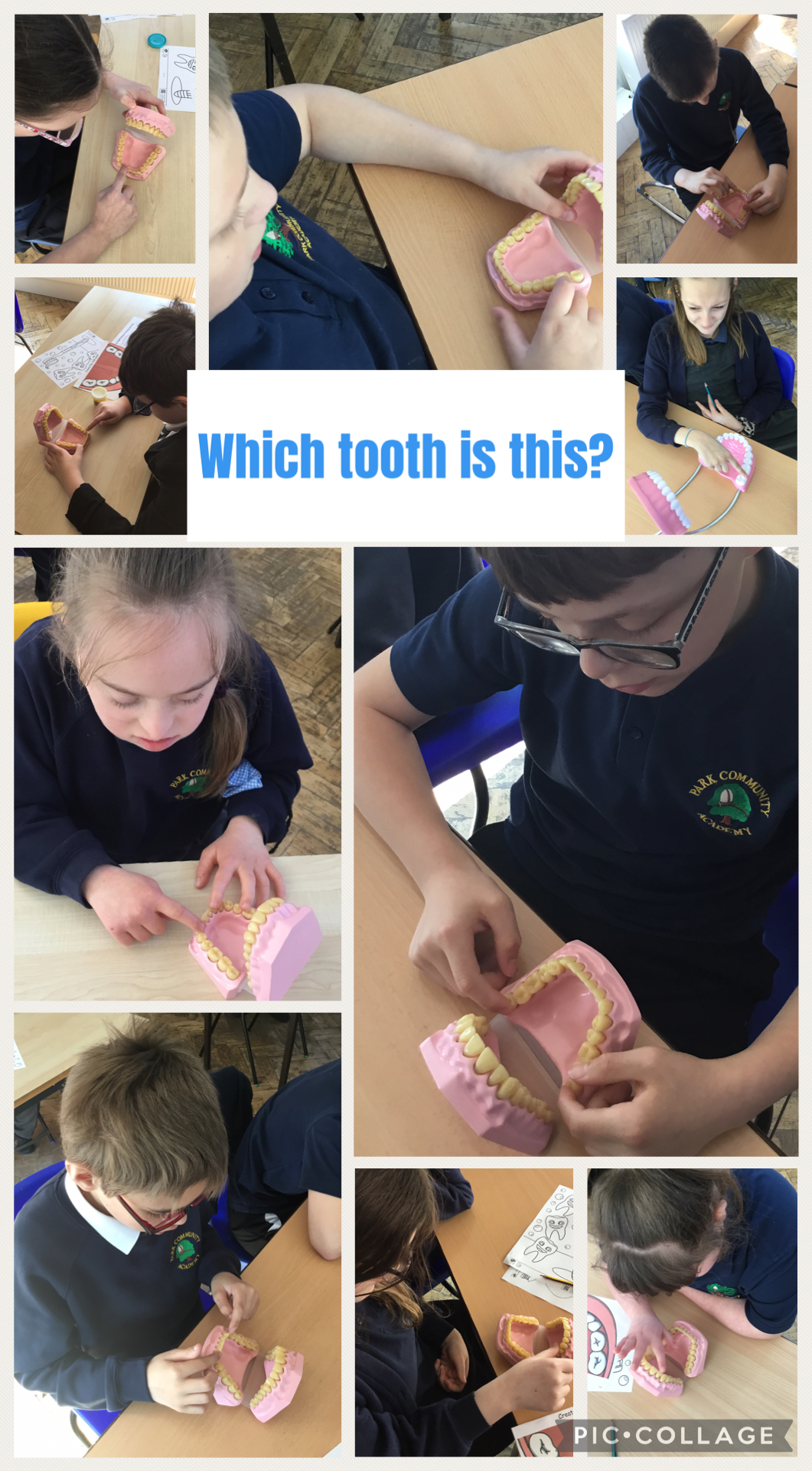 Image of What tooth is this?