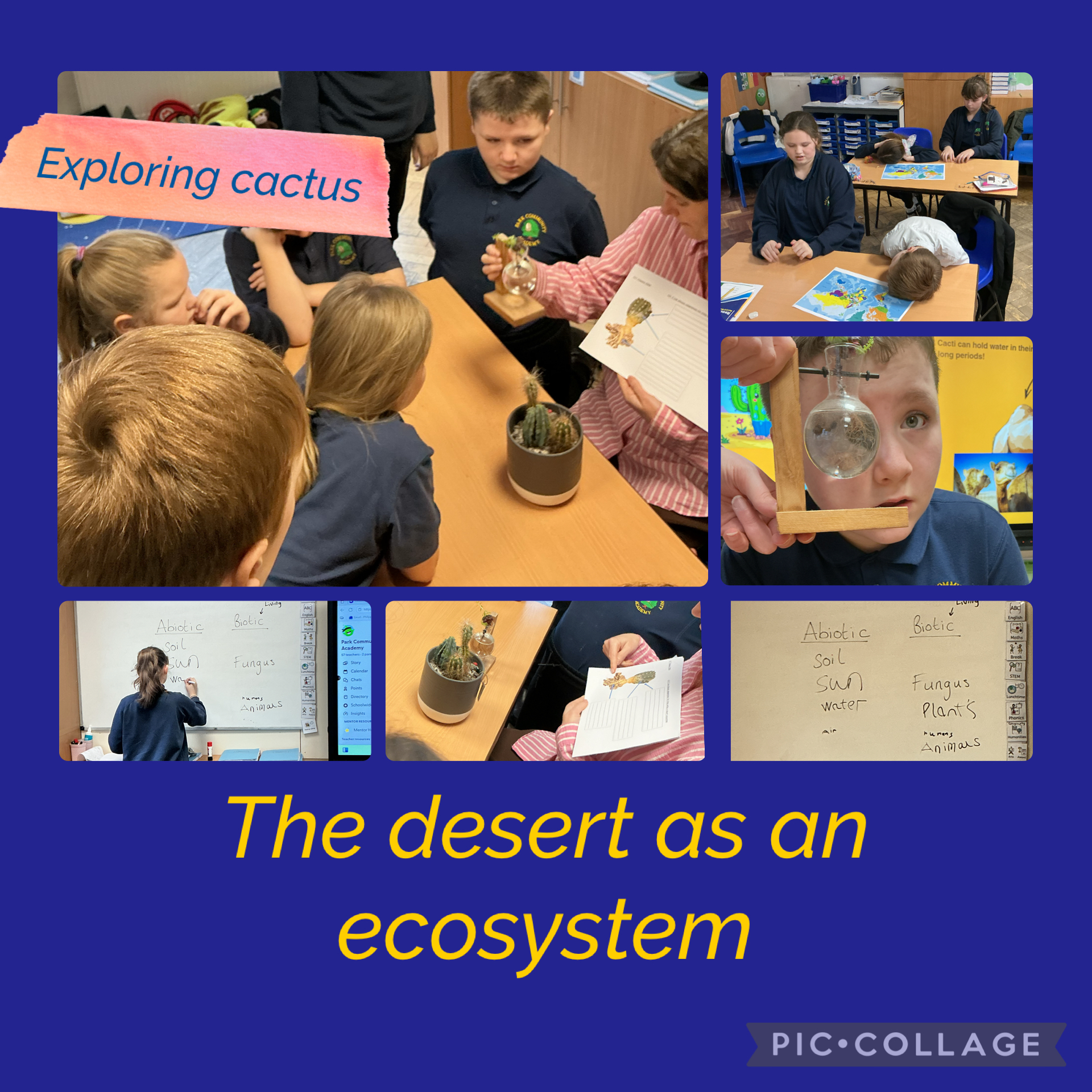 Image of Desert discovery