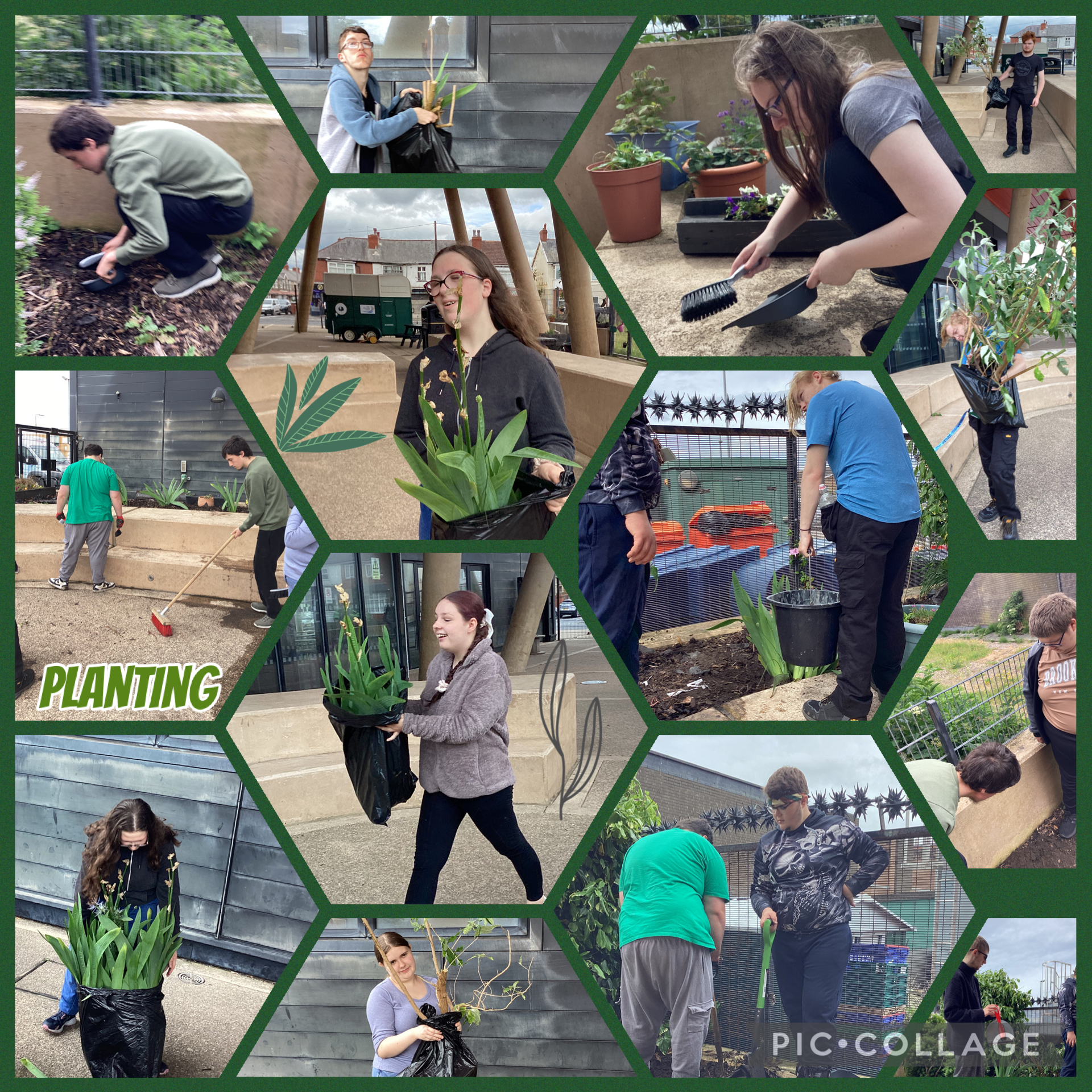 Image of Planting new plants at The Oracle