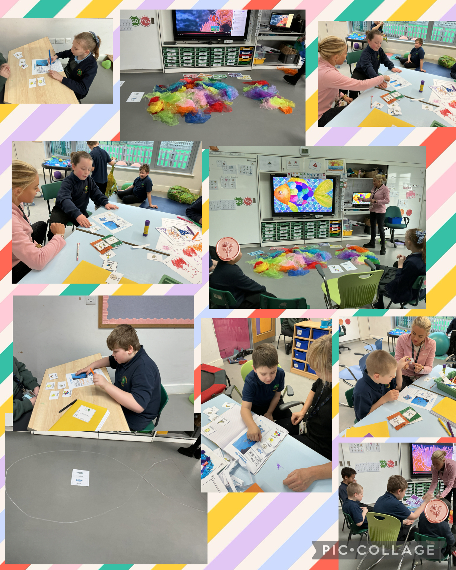 Image of Rainbow Fish