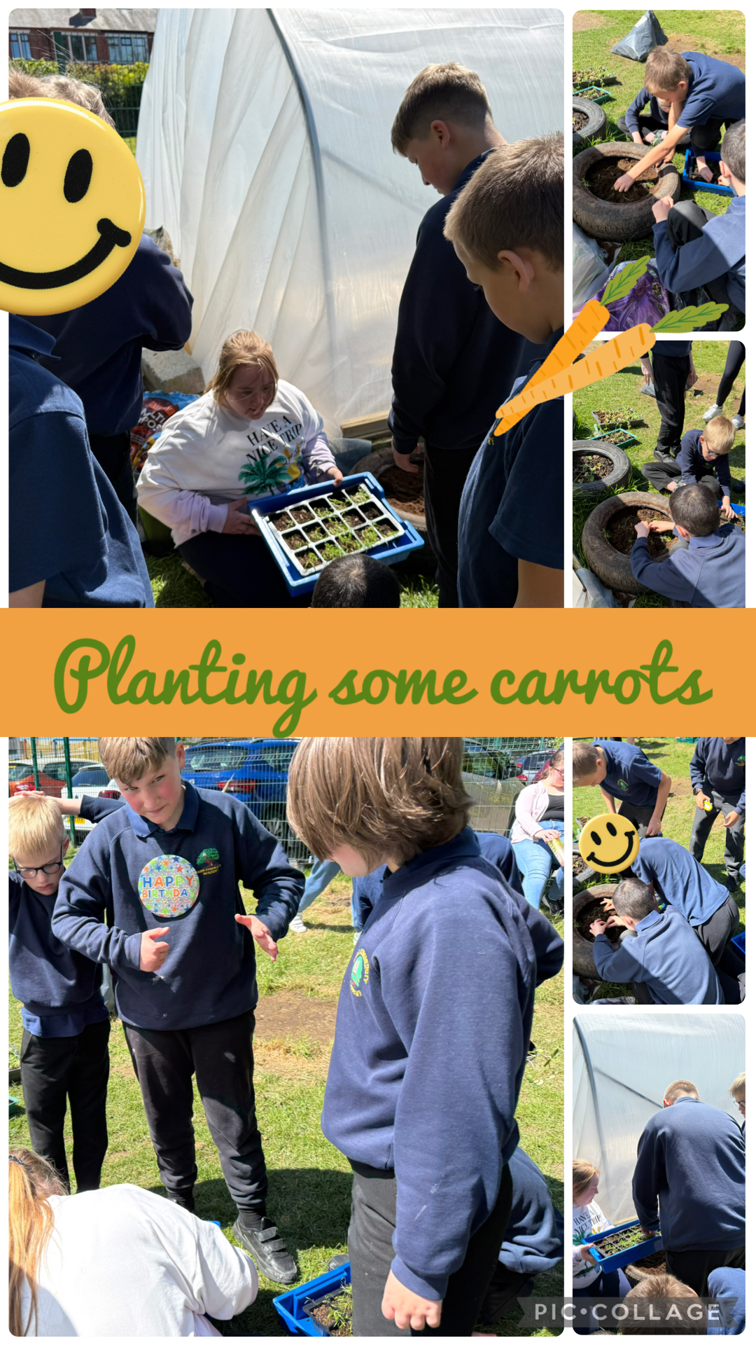 Image of Planting carrots in the allotment!