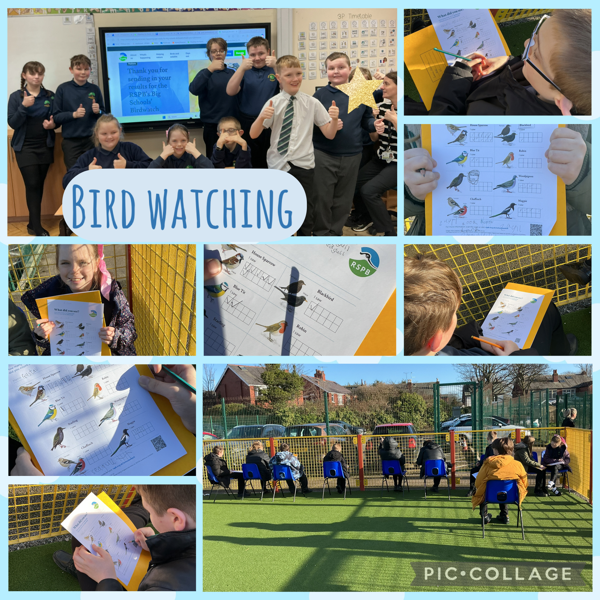 Image of Bird watching 