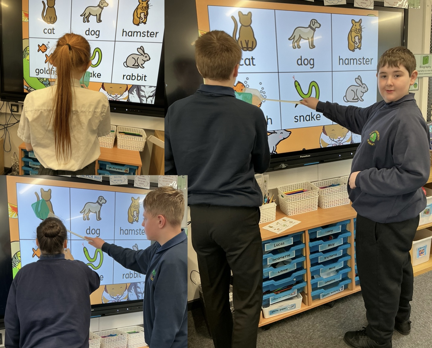 Image of French pets