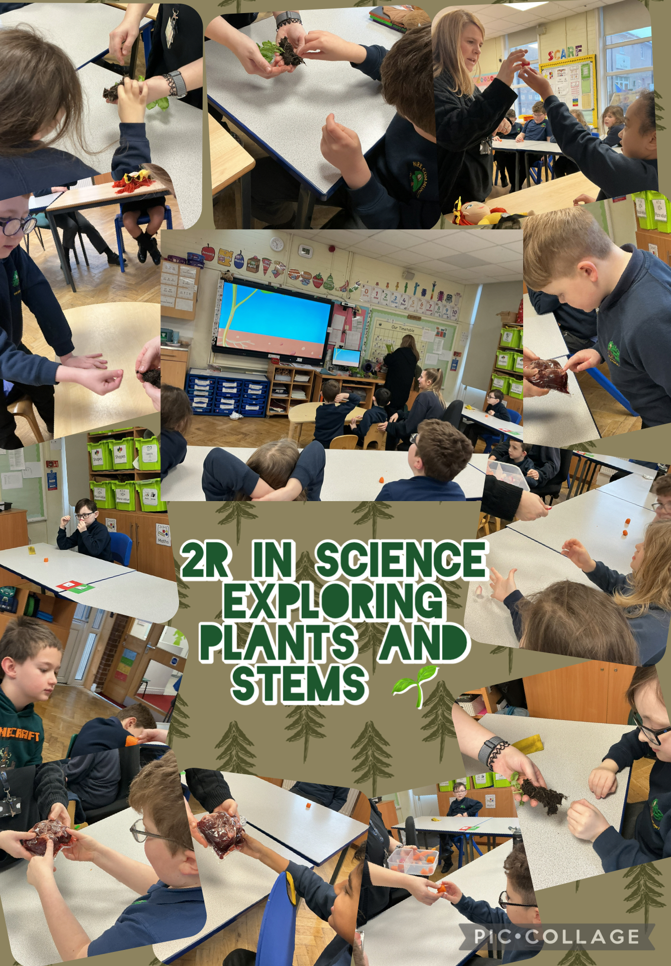 Image of 2R in science 