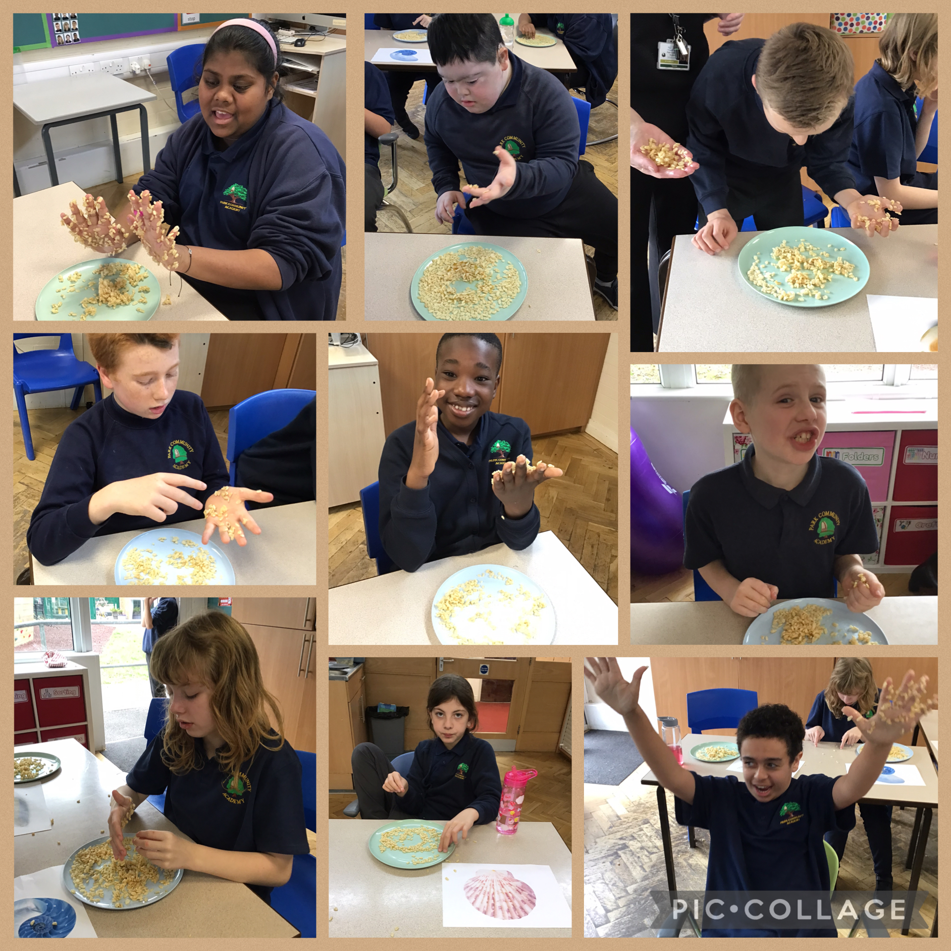 Image of Making shells with different materials and textures 