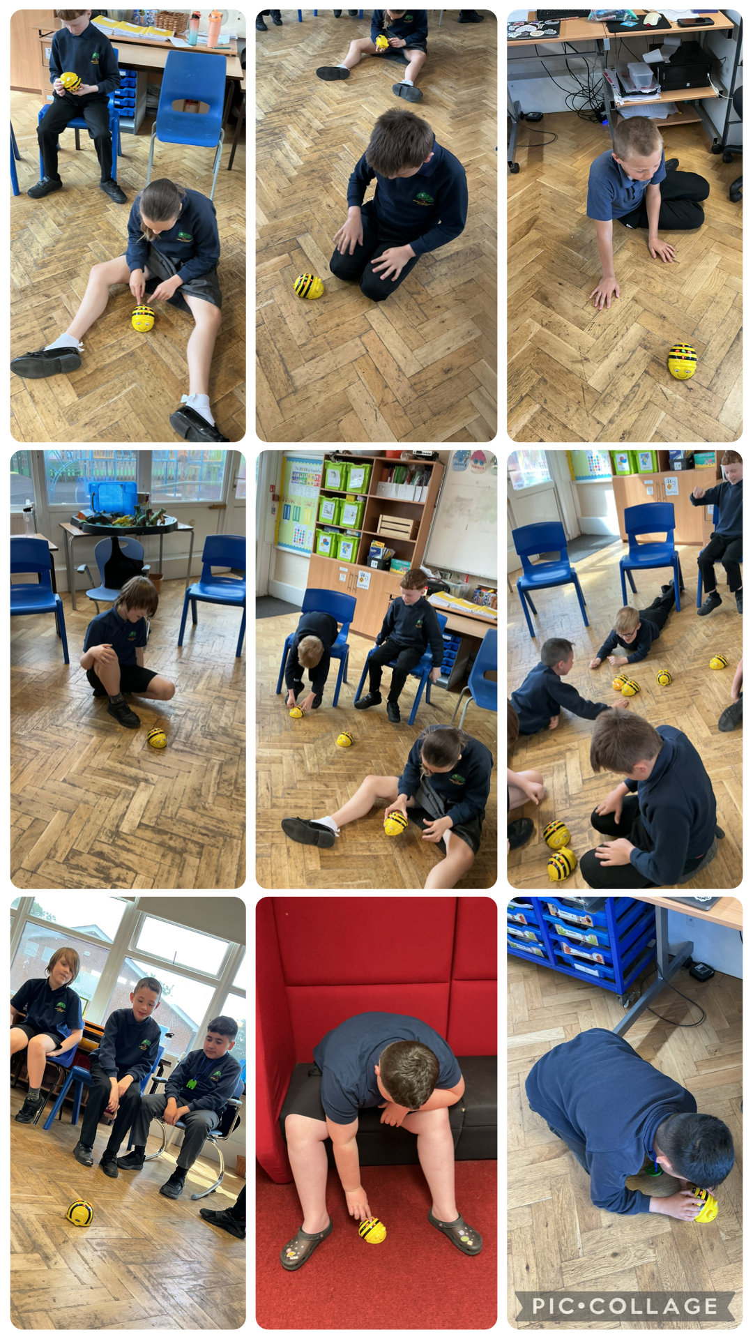 Image of Bee Bots