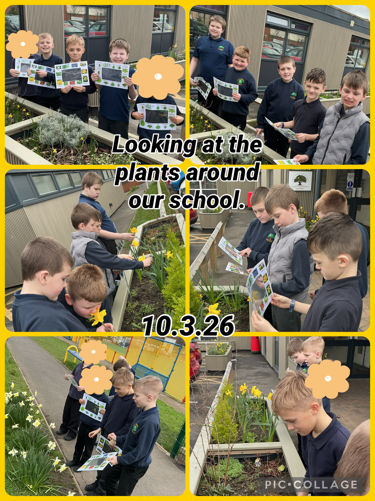 Image of Exploring plants in Science