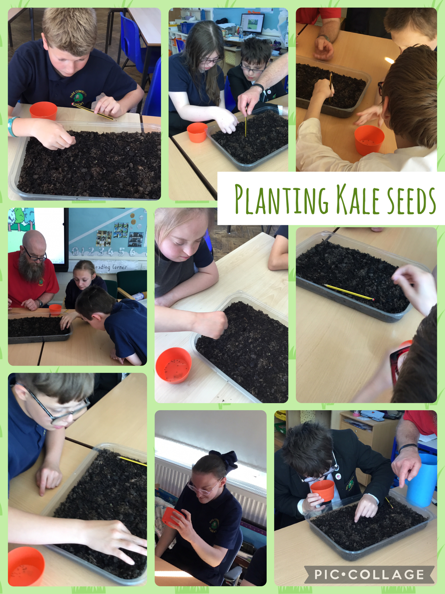 Image of Planting Kale