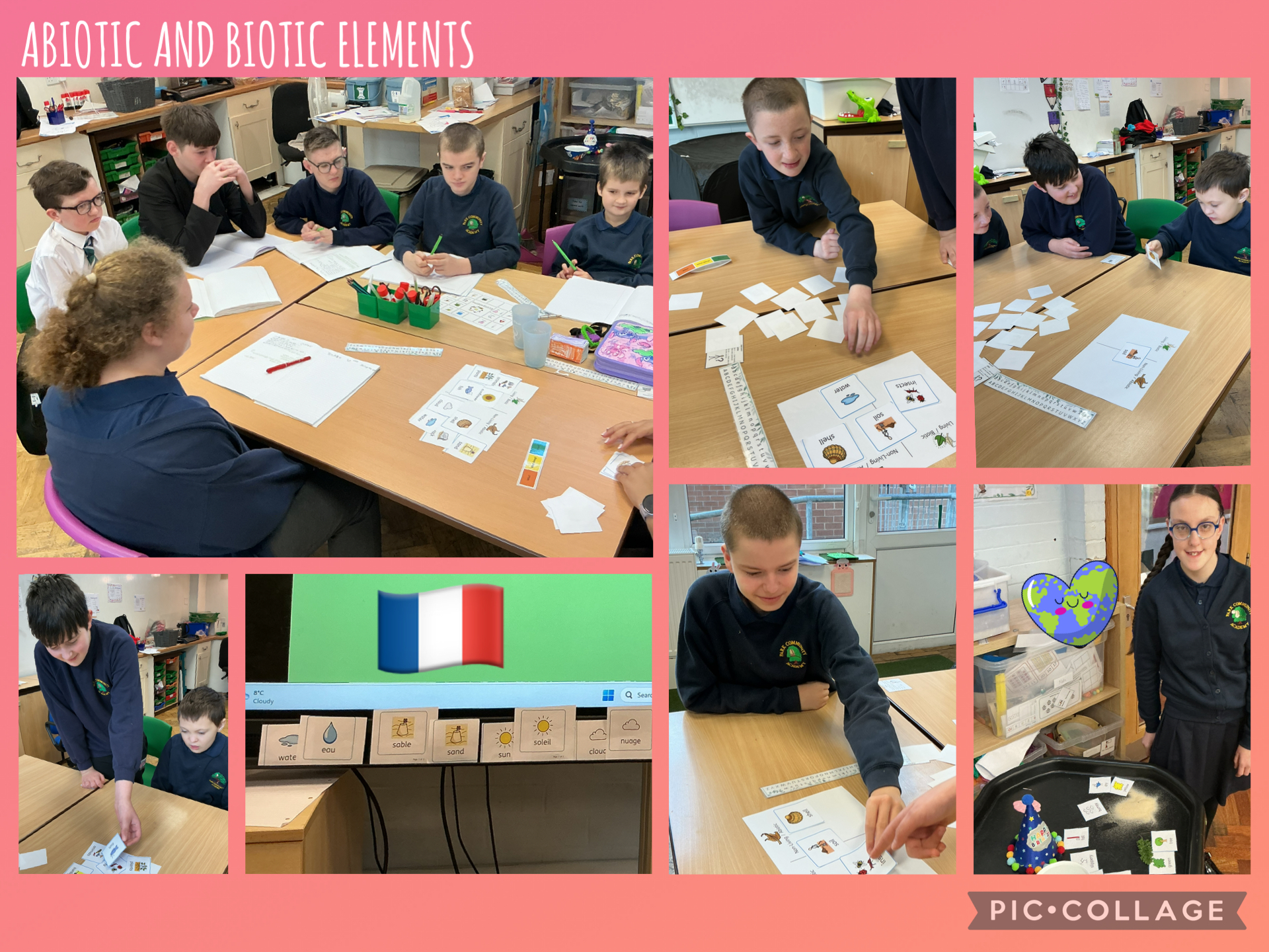 Image of Abiotic and Biotic elements 