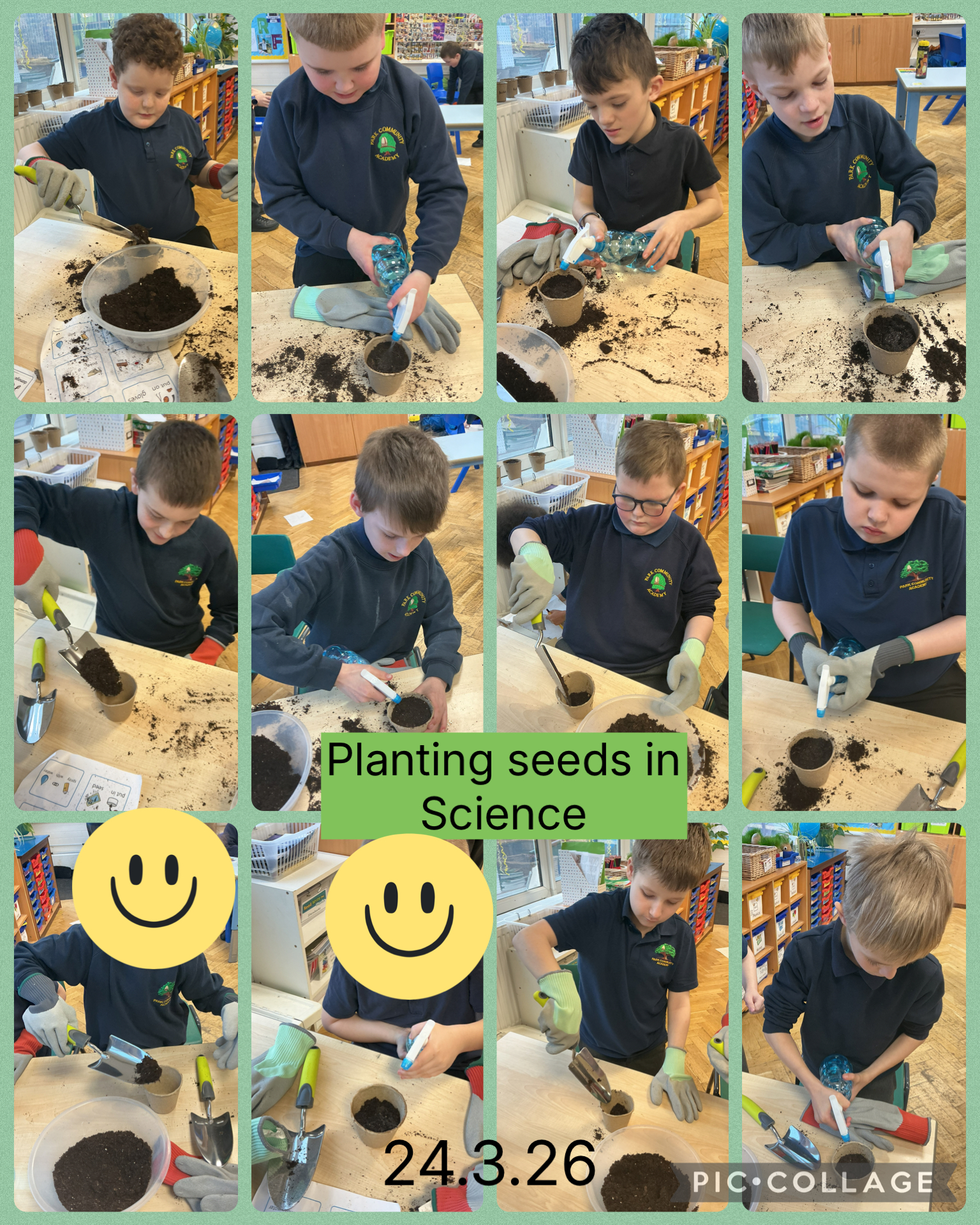 Image of Planting seeds in Science 