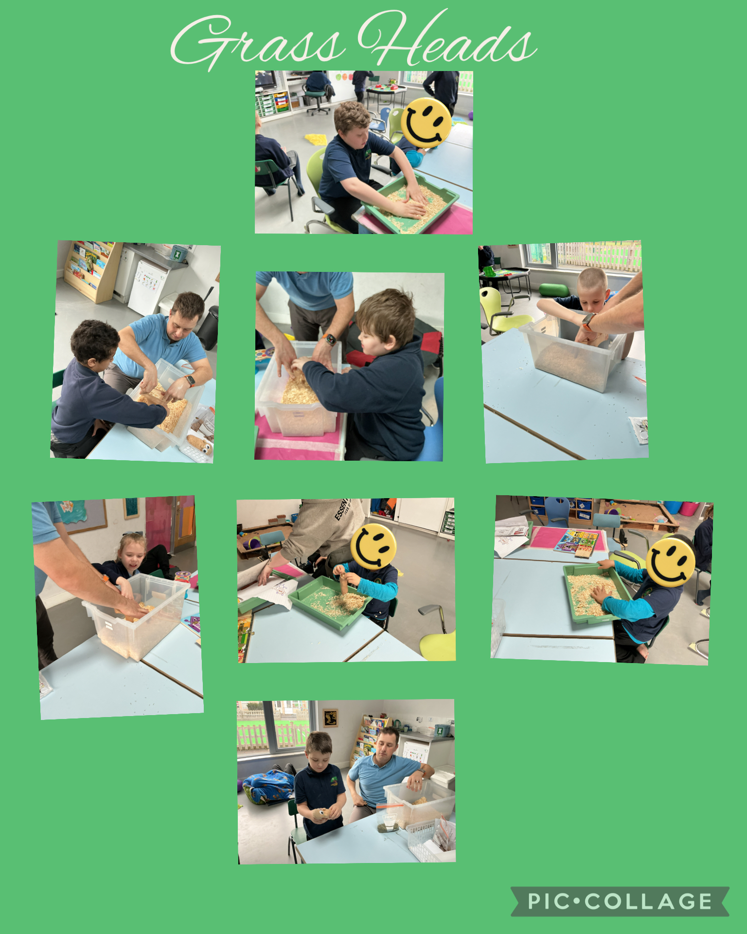 Image of Grass Heads