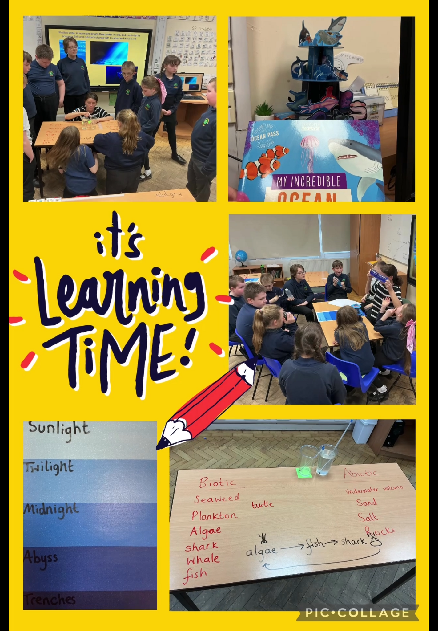 Image of More ocean discovery 