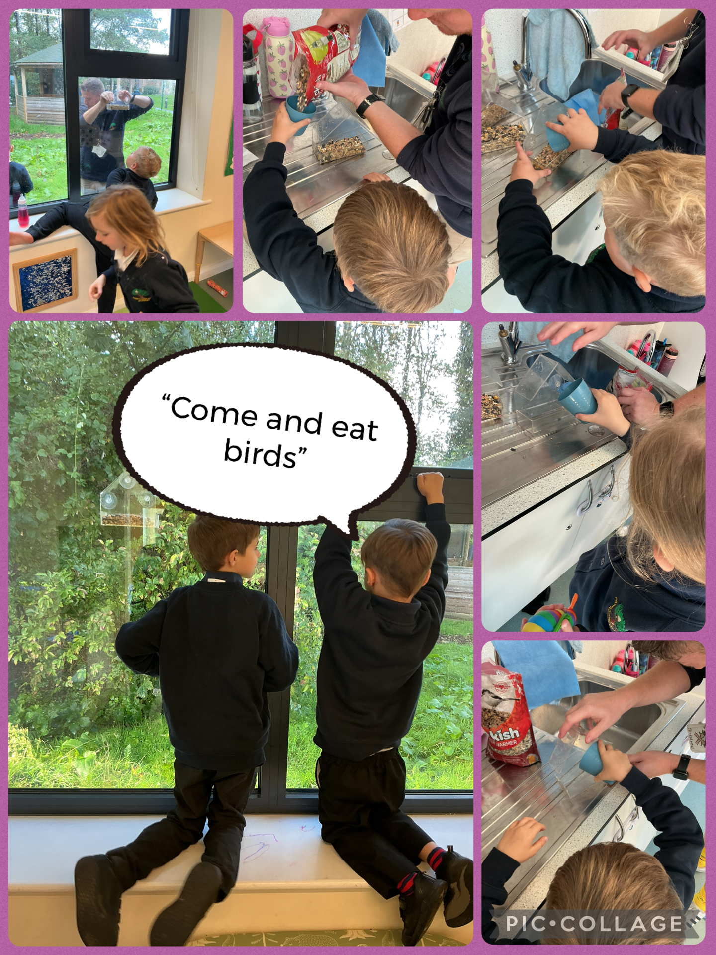 Image of Feeding the birds 