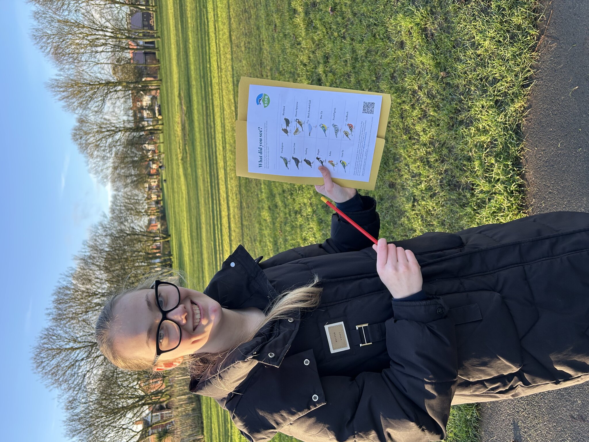 Image of Bird watching 