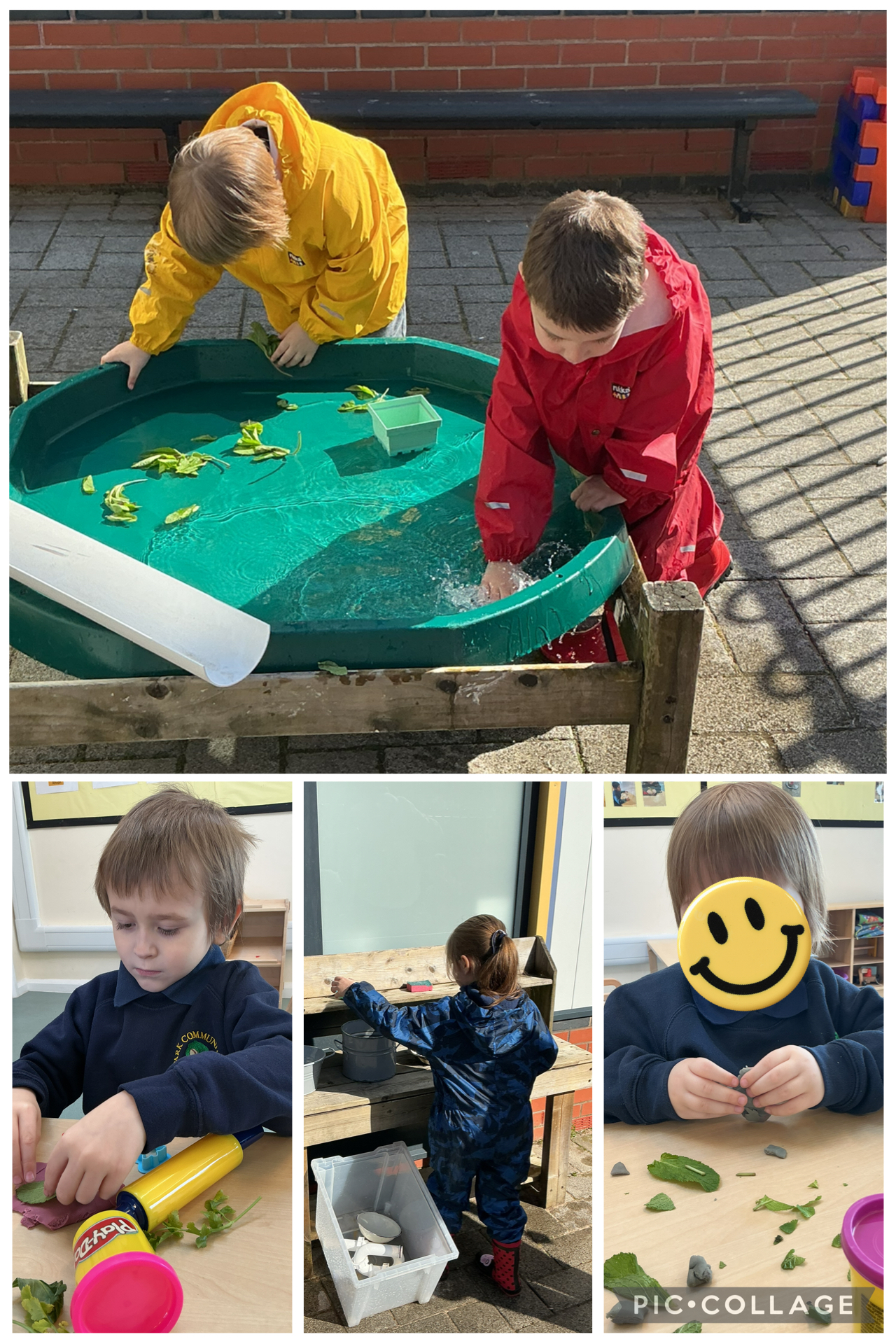 Image of Exploring herbs 