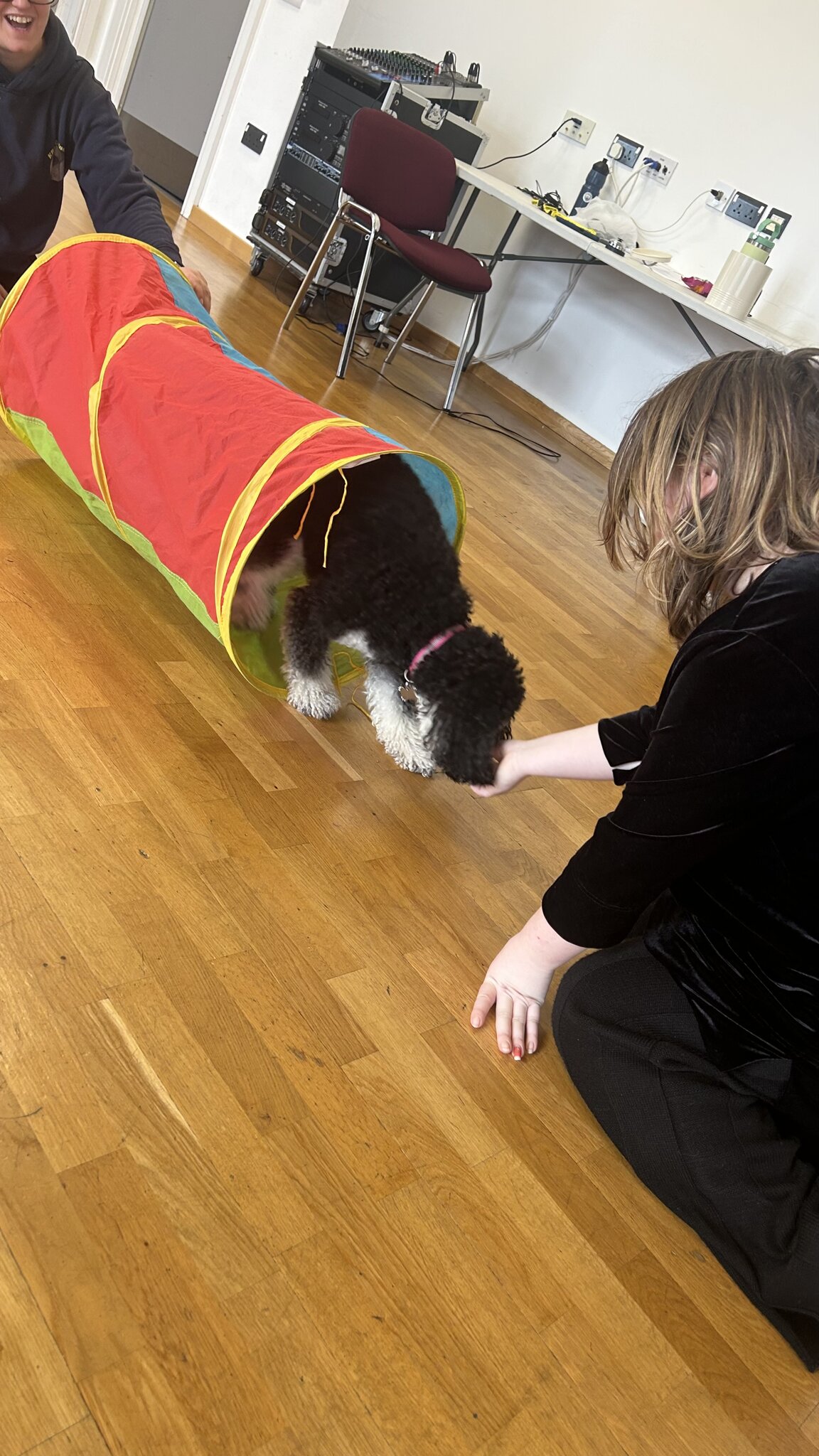 Image of New tricks for Molly