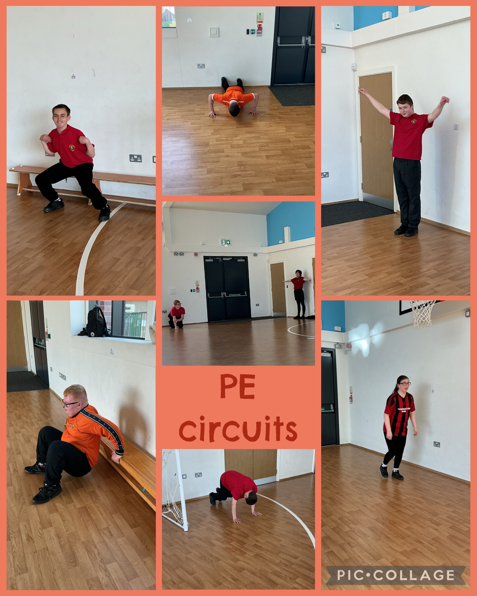 Image of PE circuits