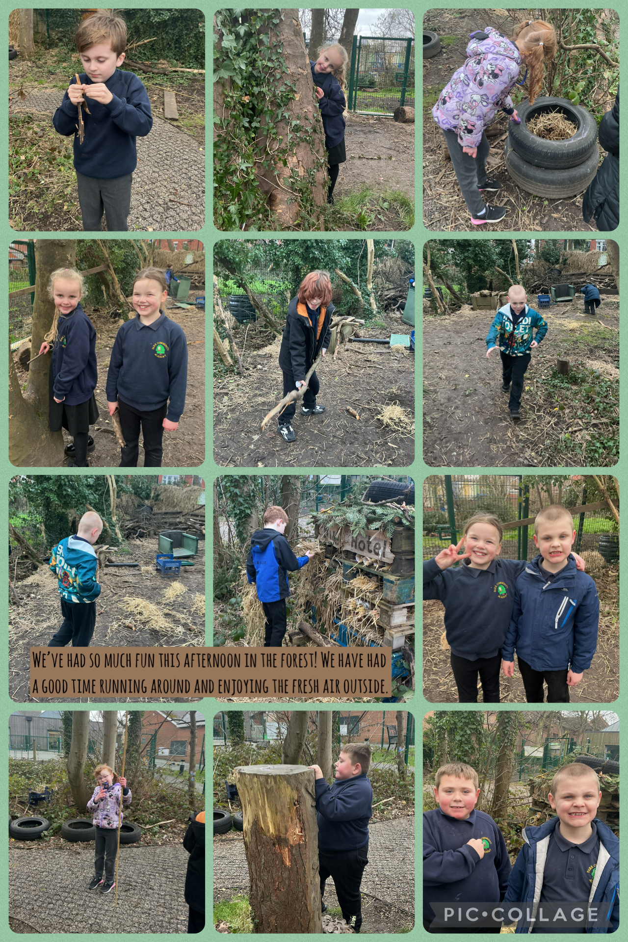 Image of Time in the forest