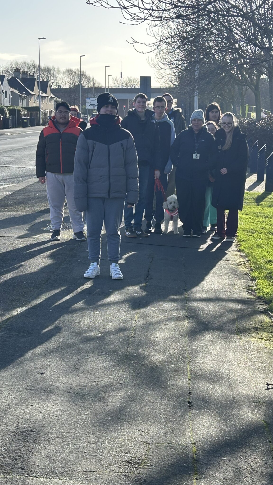 Image of Road safety 