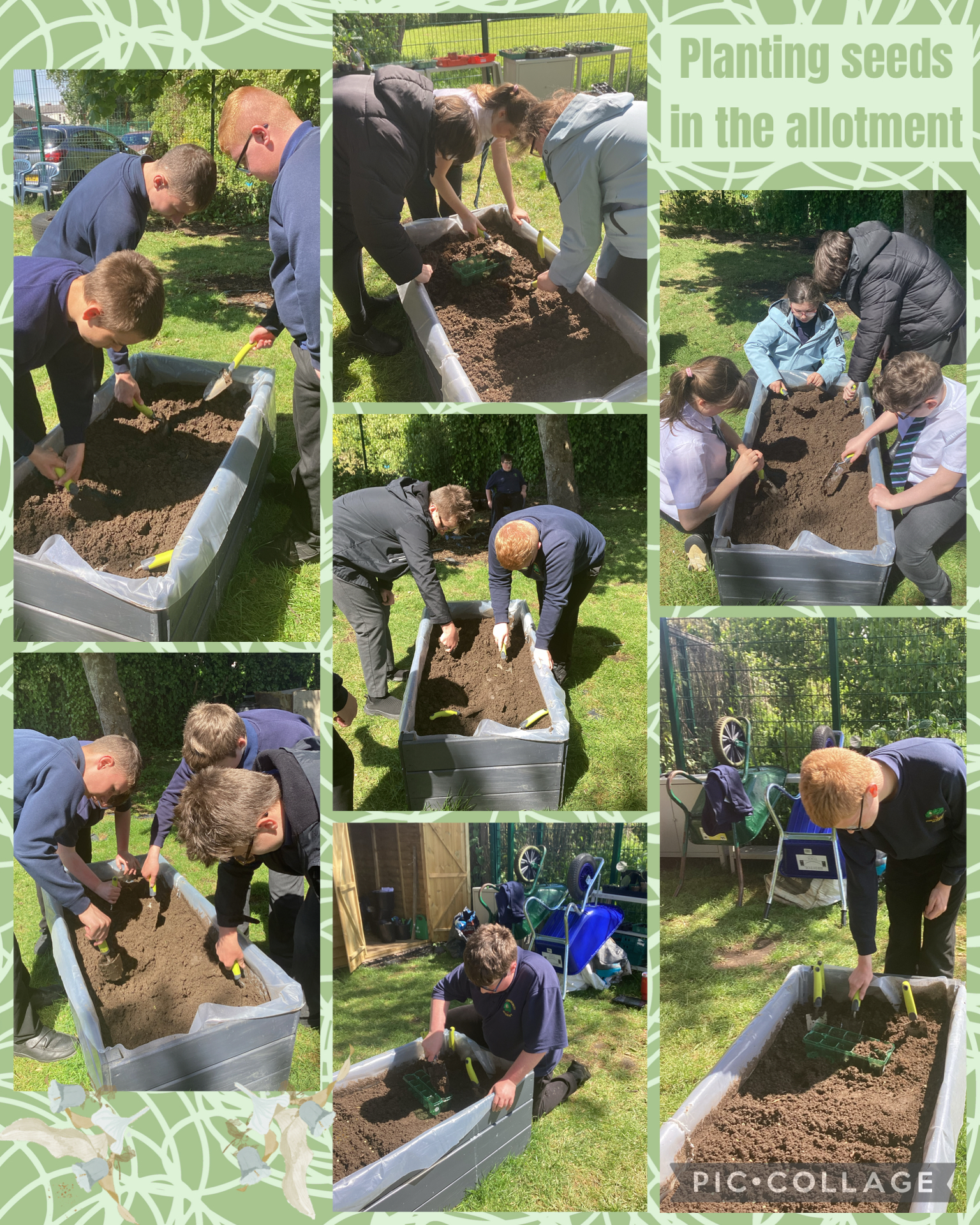 Image of Planting Seeds in the Allotment 