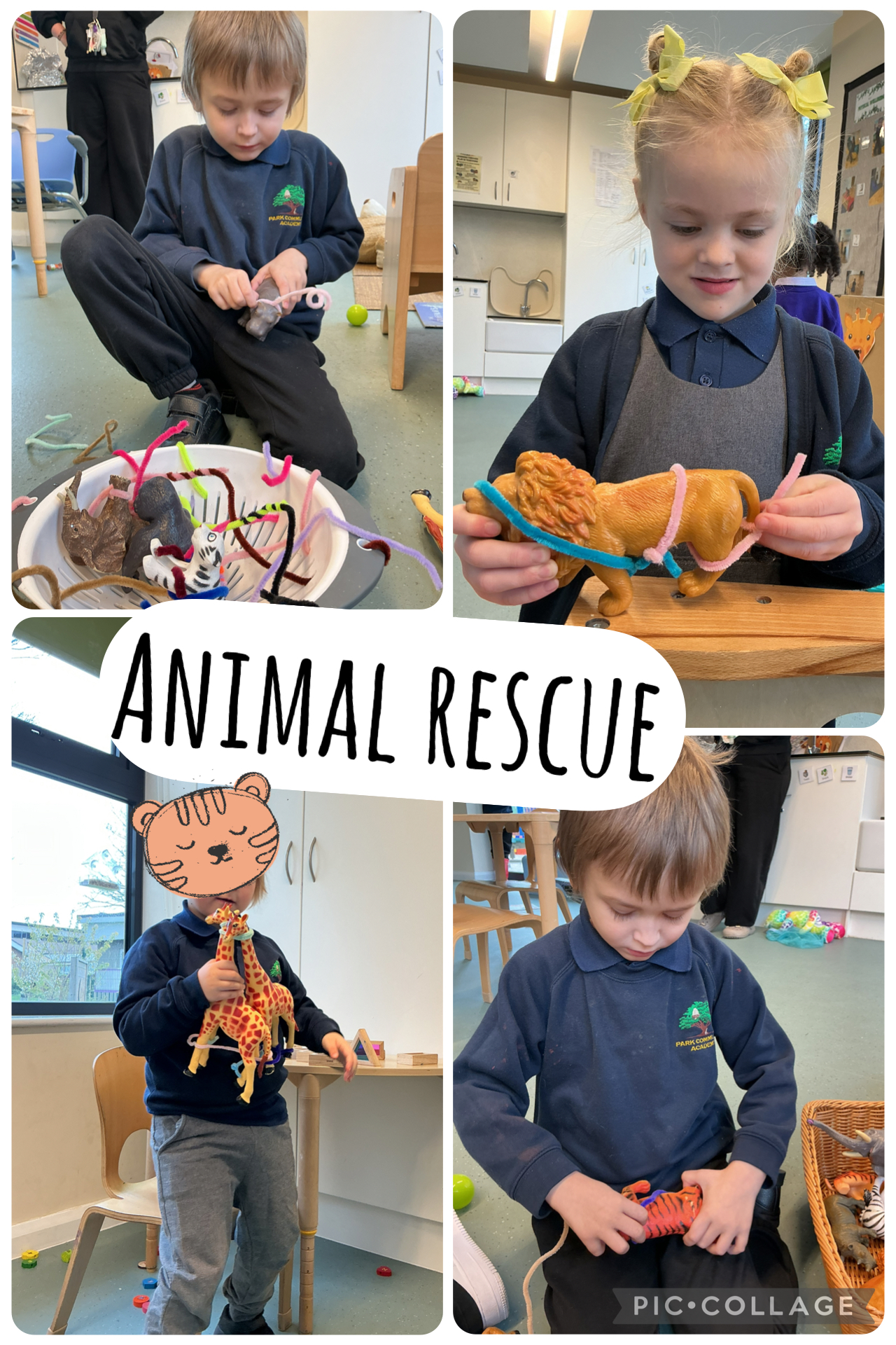 Image of Animal rescue