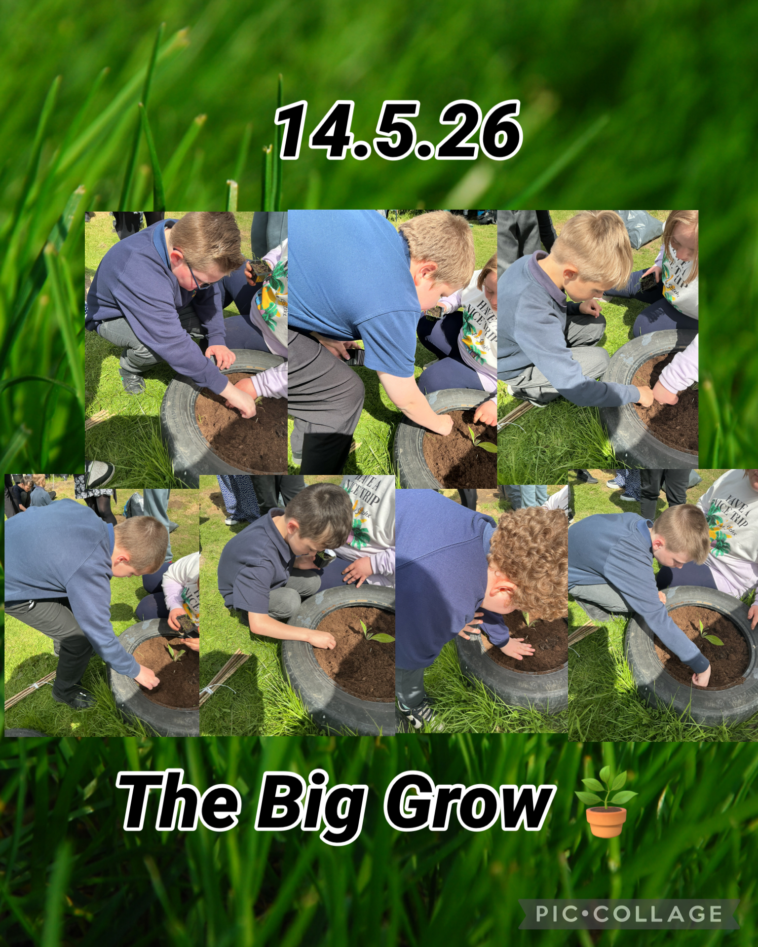 Image of The Big Grow 