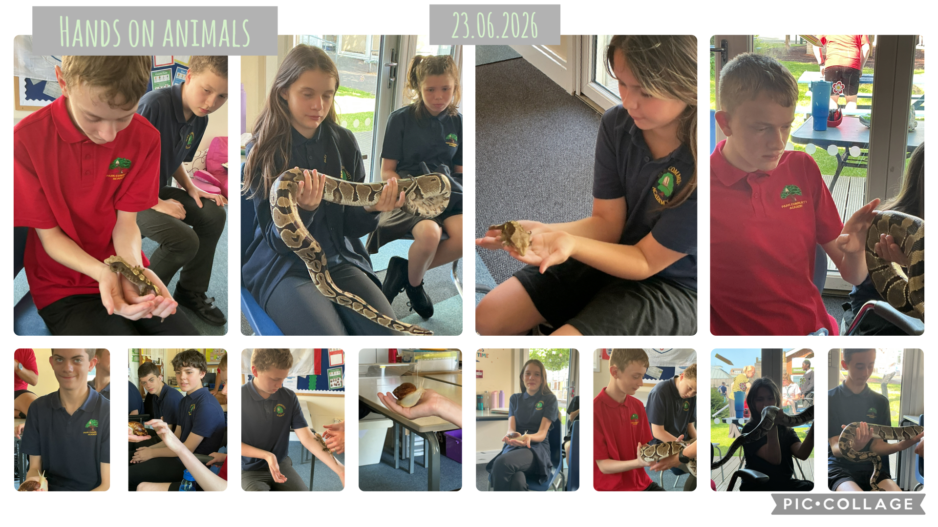 Image of Hands-On Animals Visit for 3L