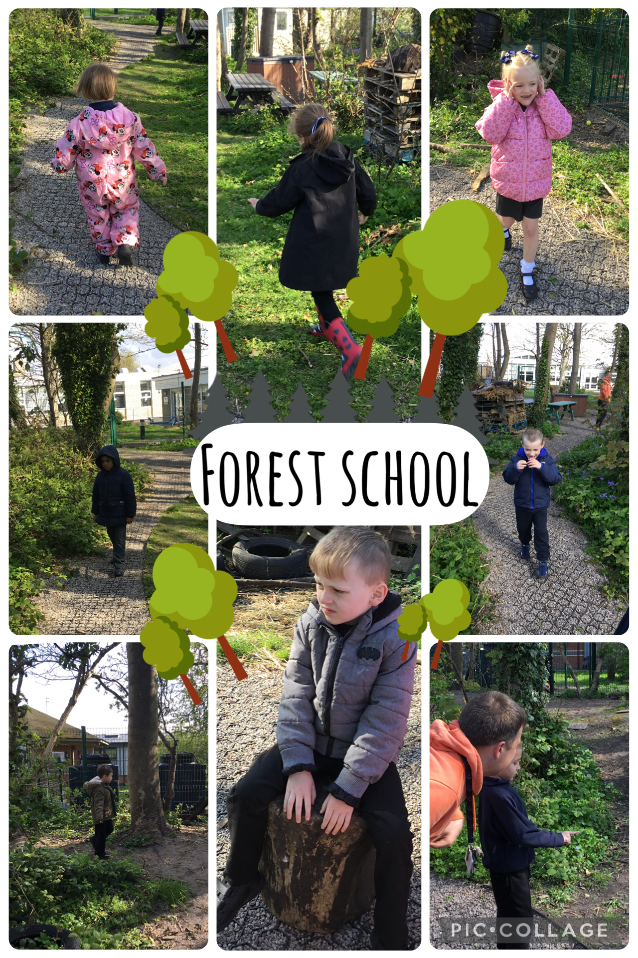 Image of Forest school adventures