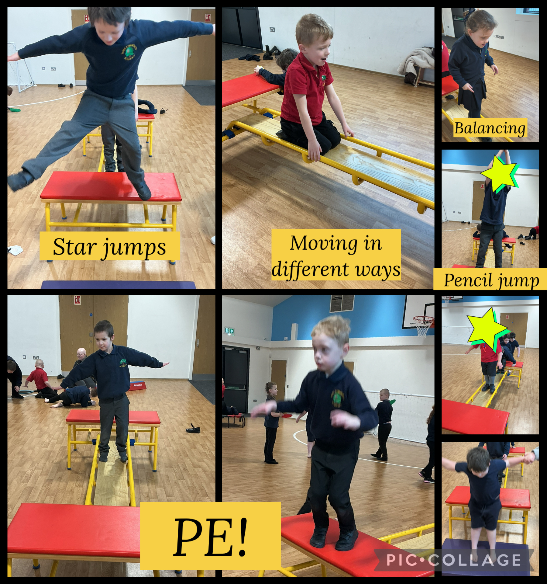 Image of Gymnastics in the sports hall