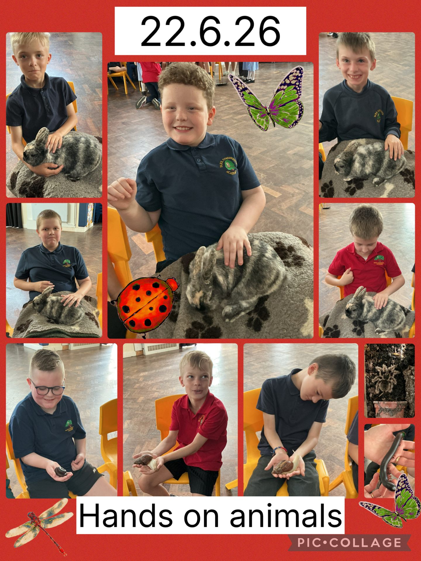 Image of Hands on animals! 