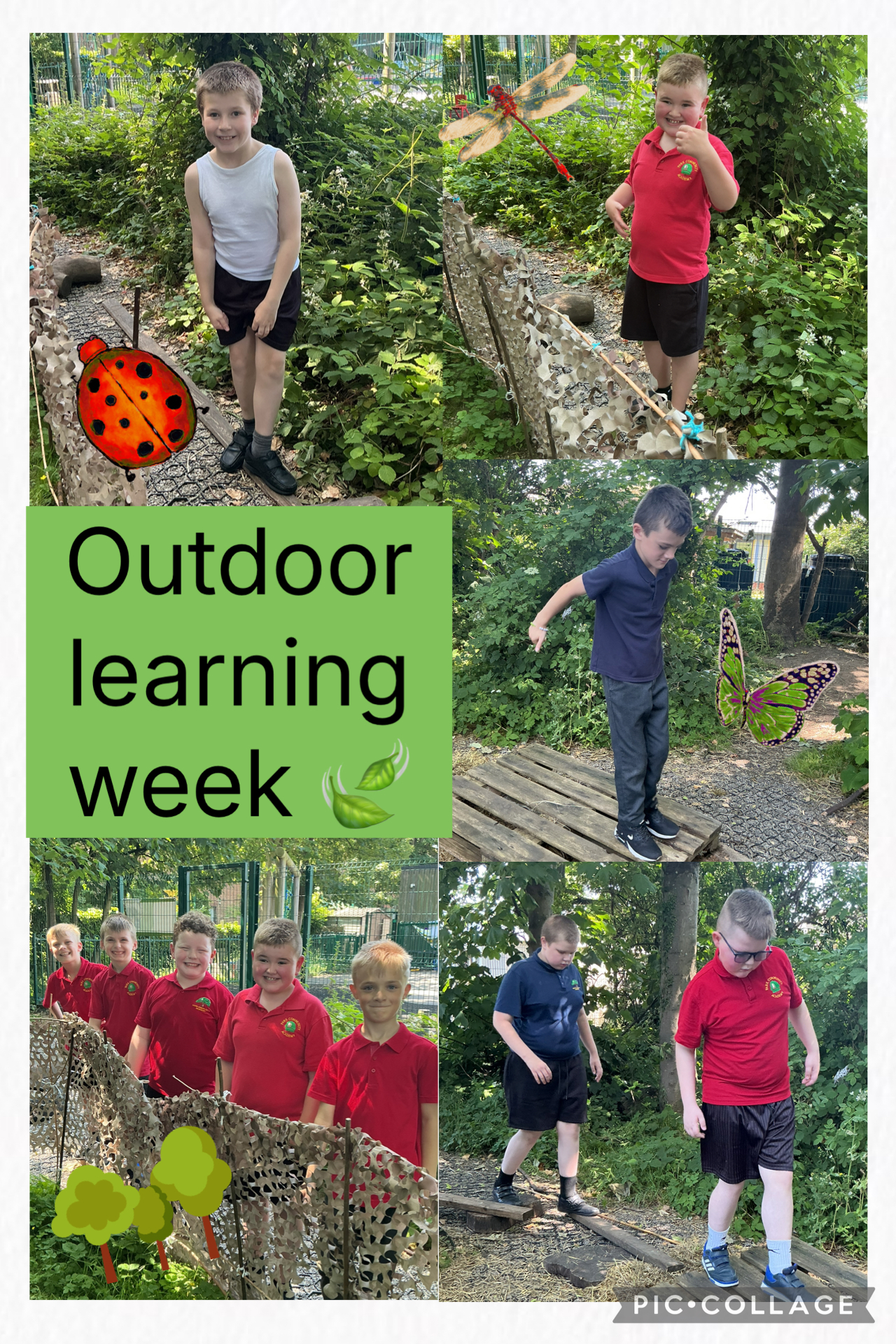 Image of Outdoor learning week - Obstacle