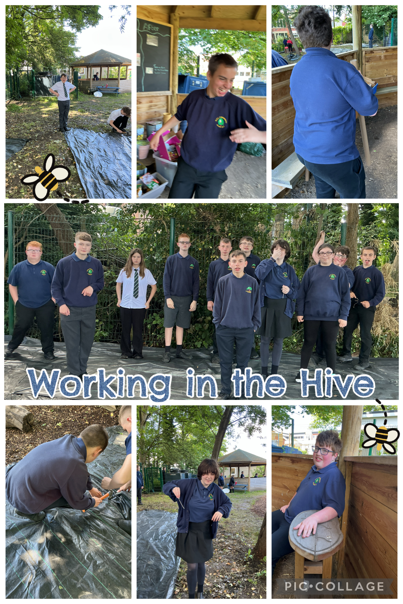 Image of Cleaning up the Hive