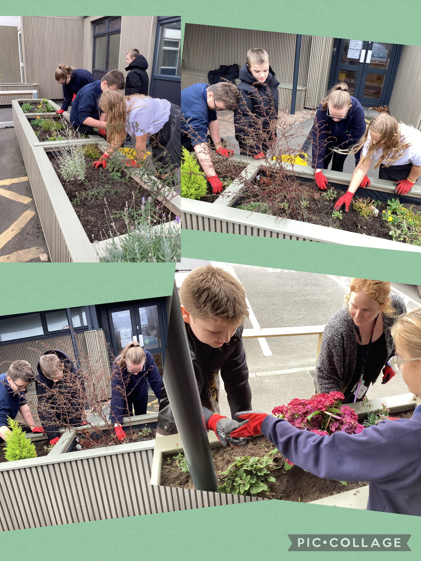 Image of Gardening club