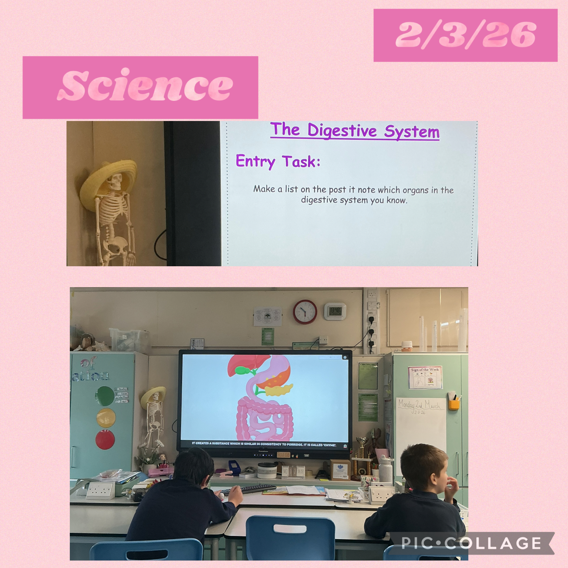 Image of Science and the human body !