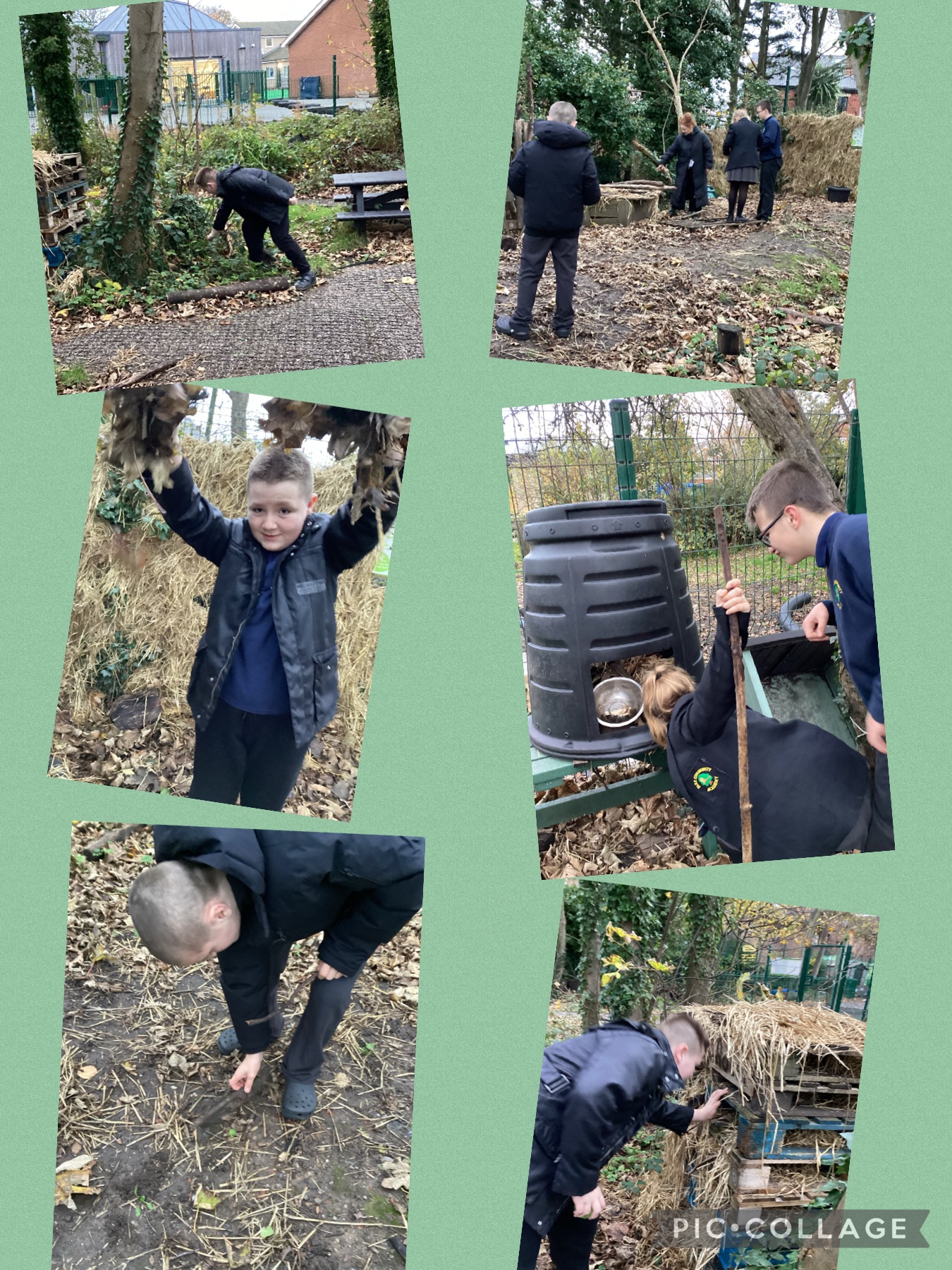 Image of Forest School After School Club
