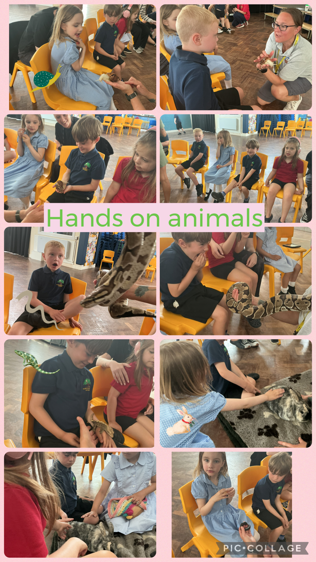 Image of Hands on animals! 