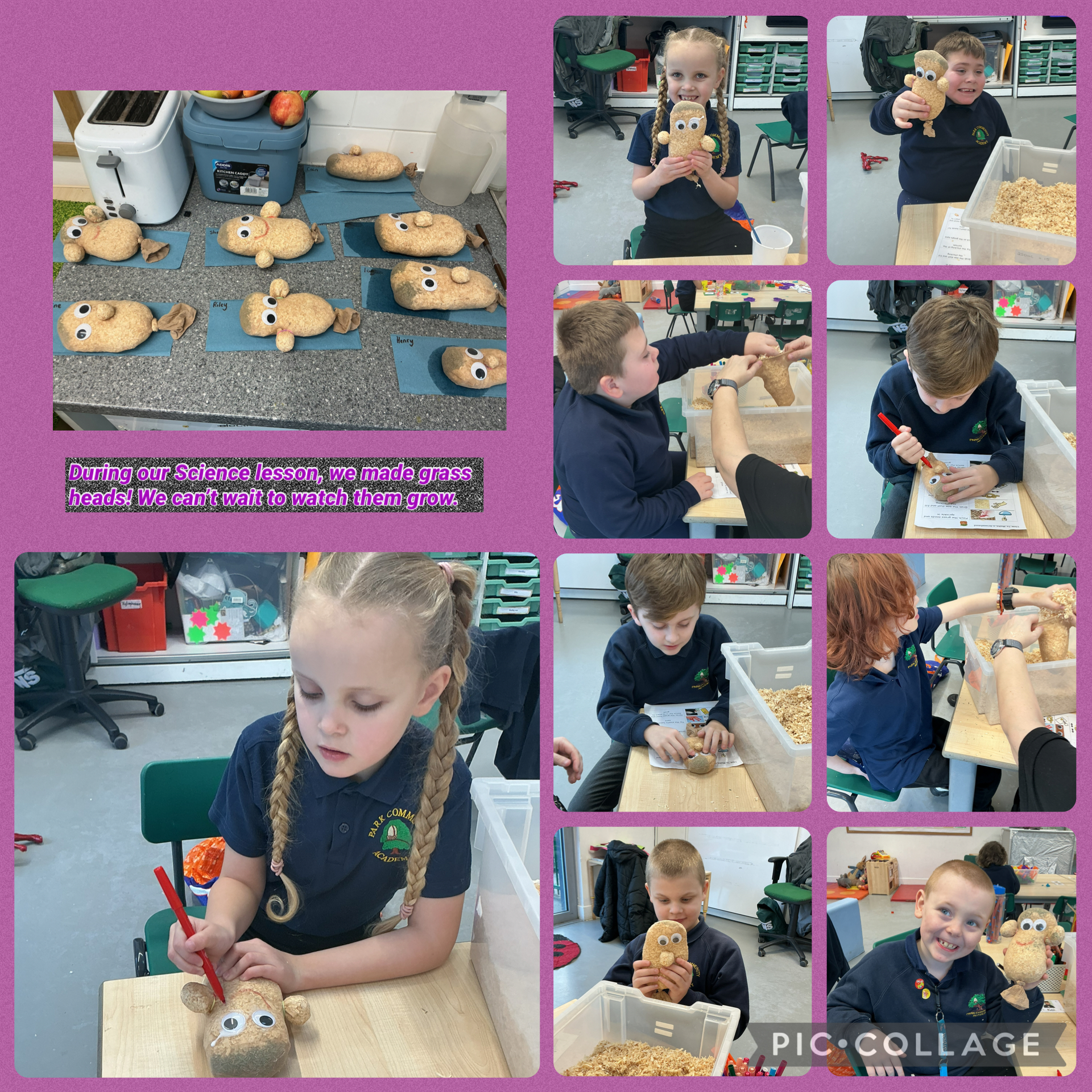 Image of We made grass heads in science!!